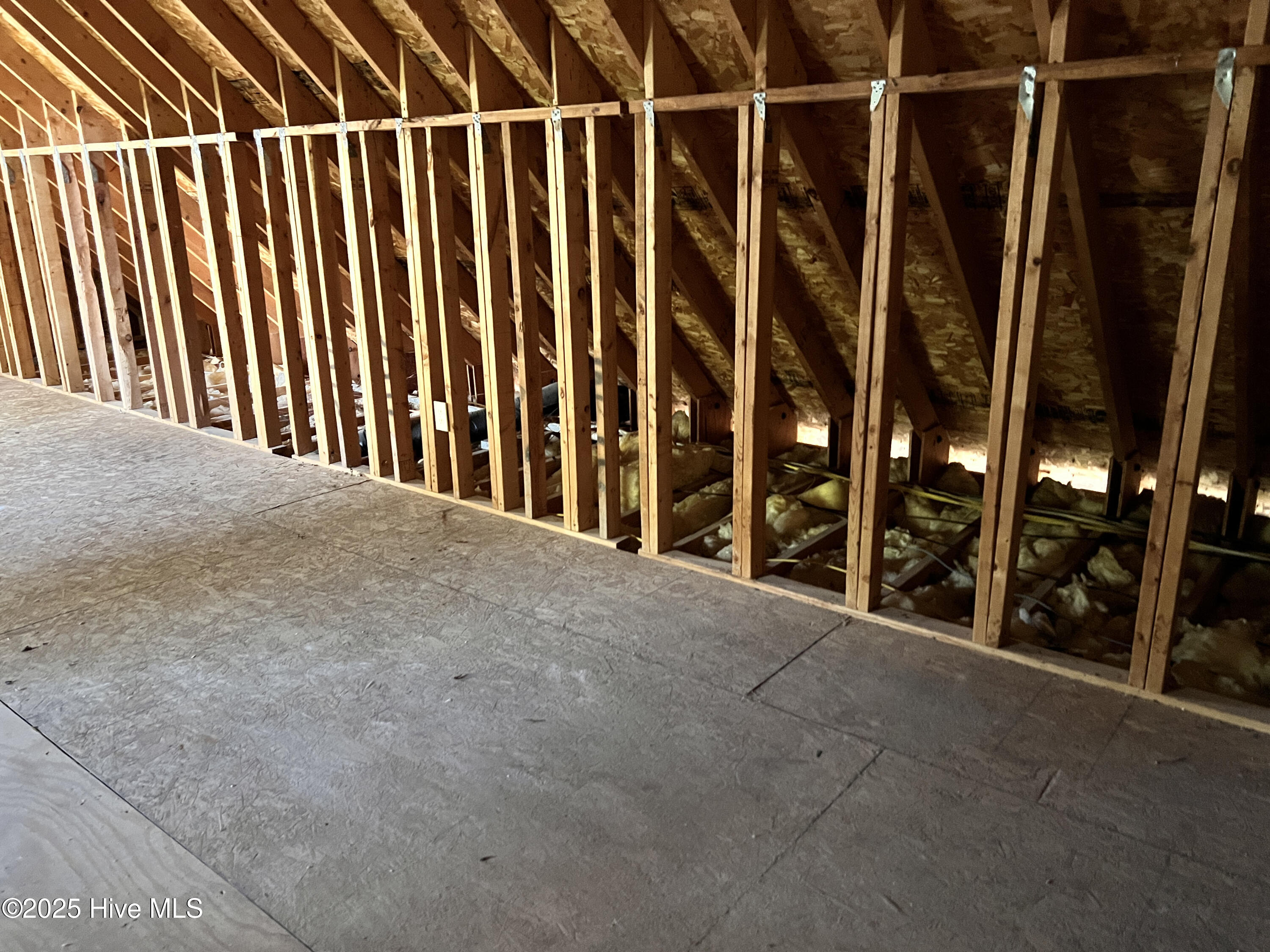 100535017 | Photo 12