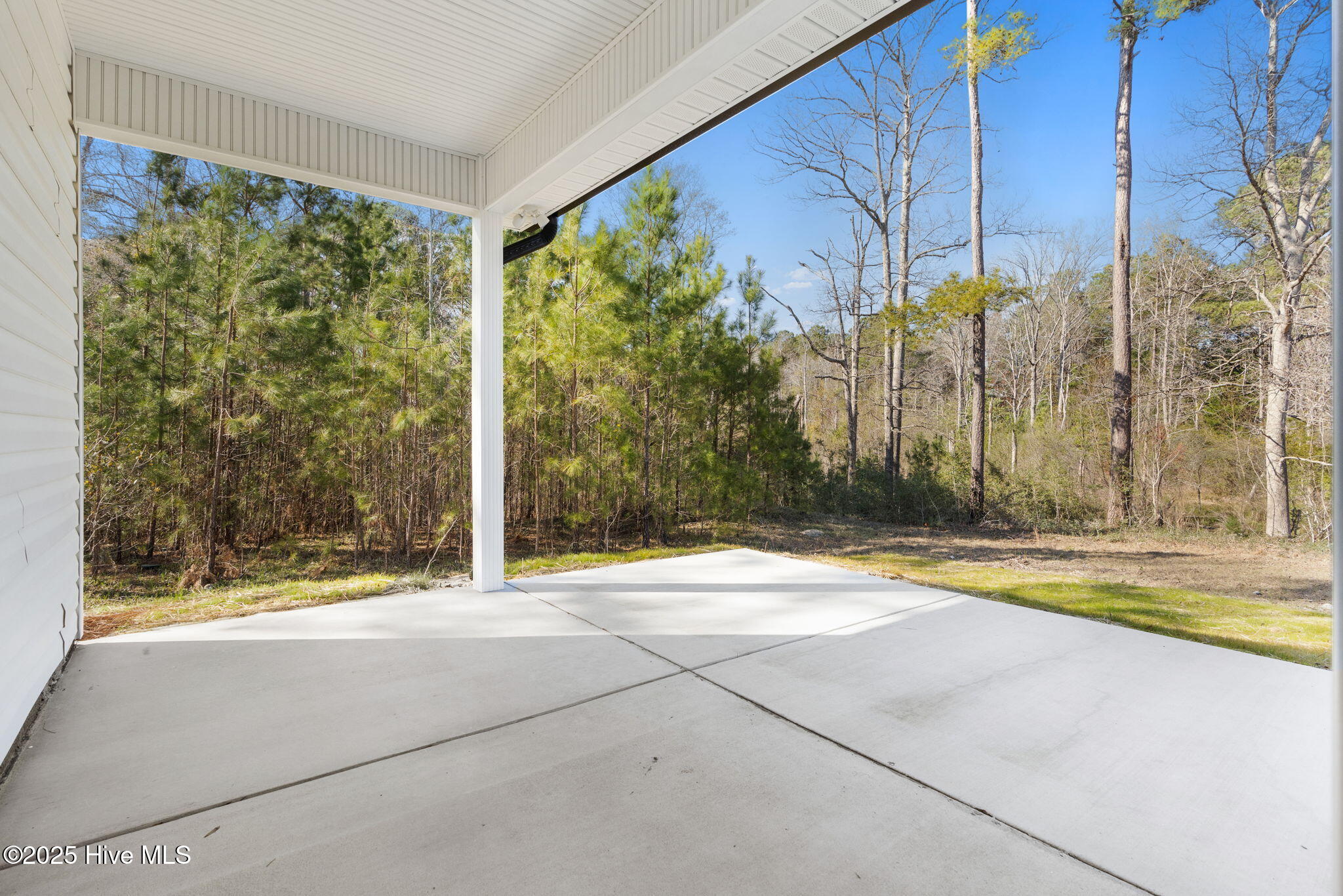 100518606 | Photo 38