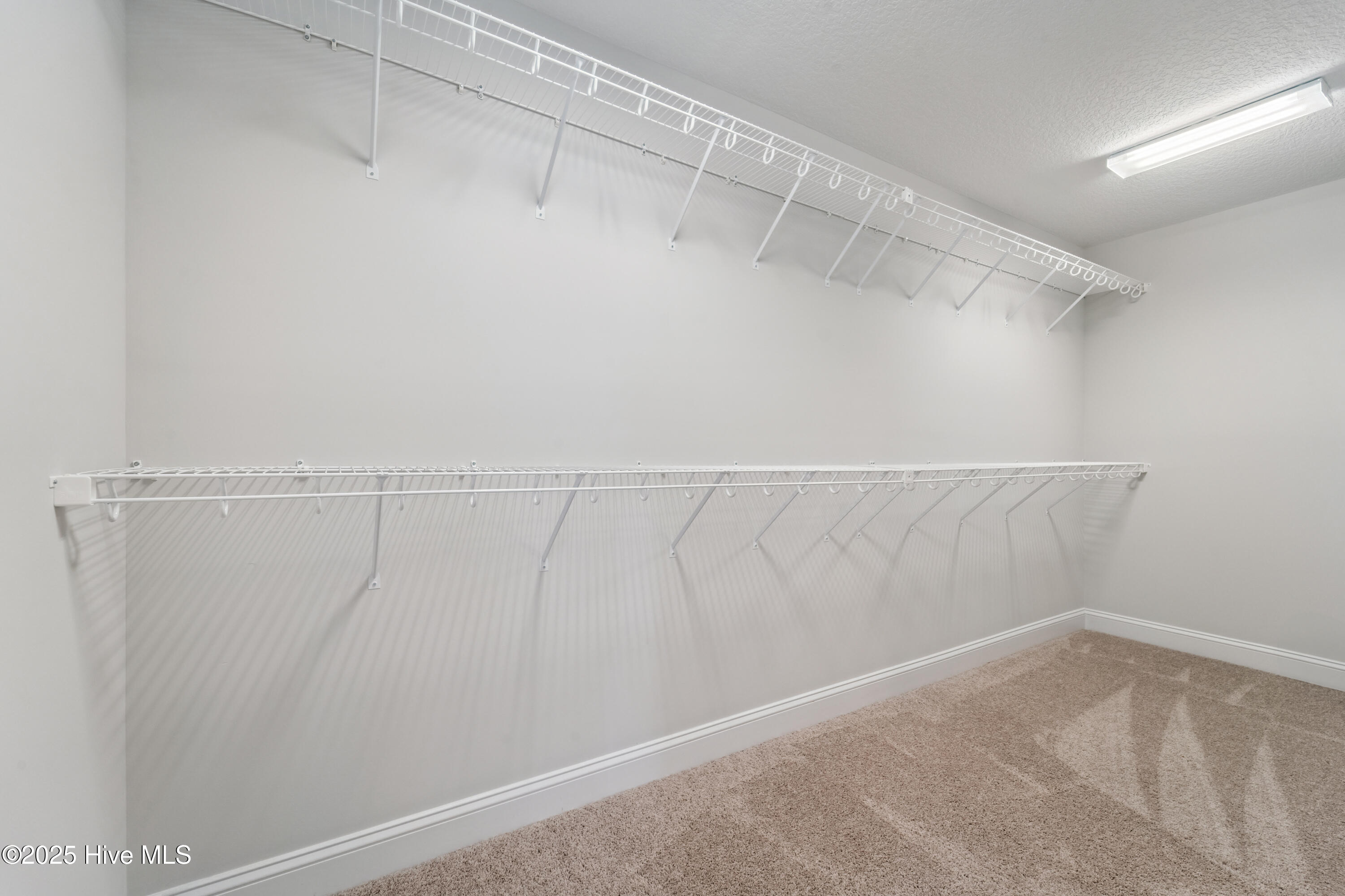 100505729 | Photo 27