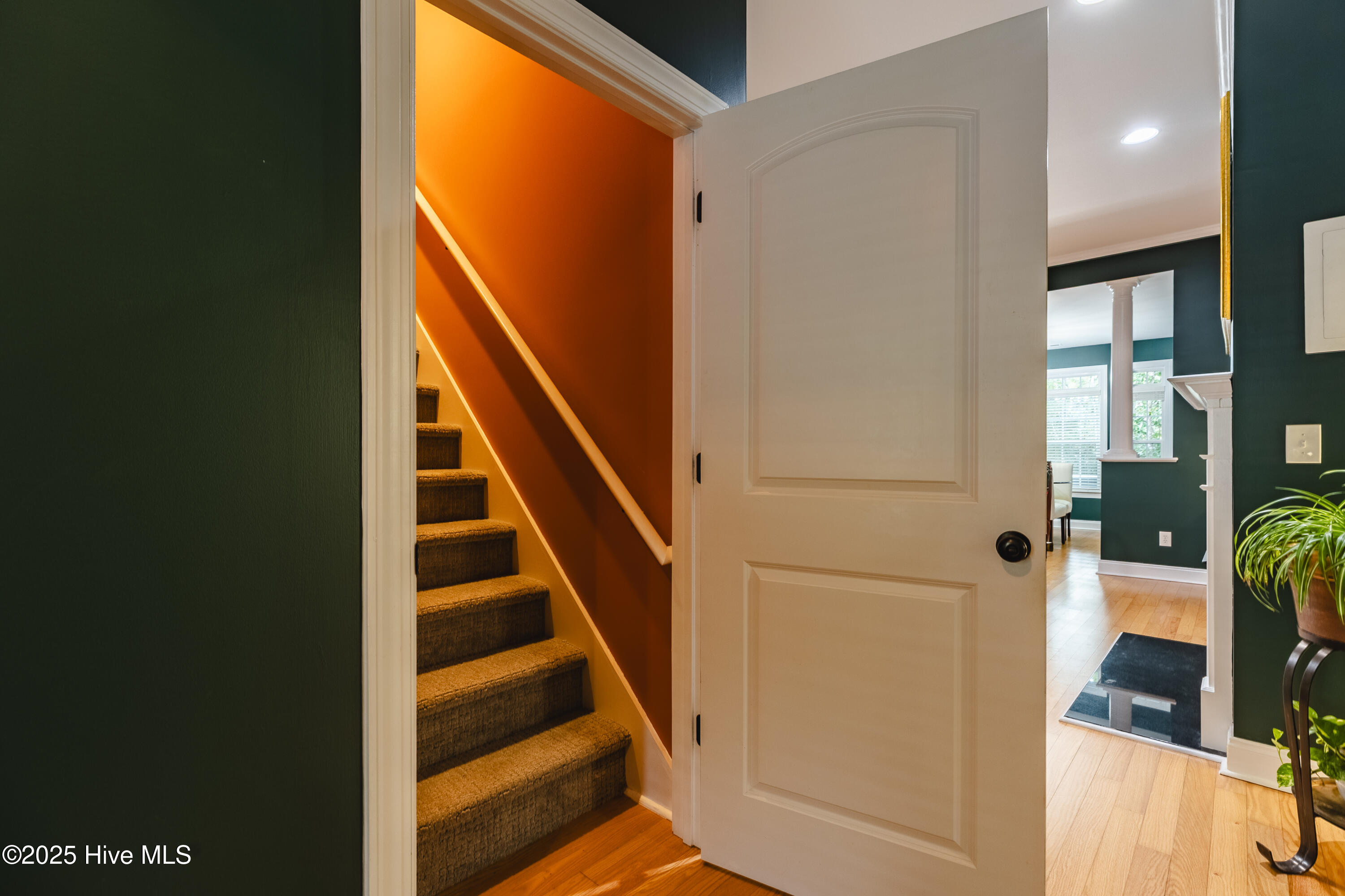 100542426 | Photo 30