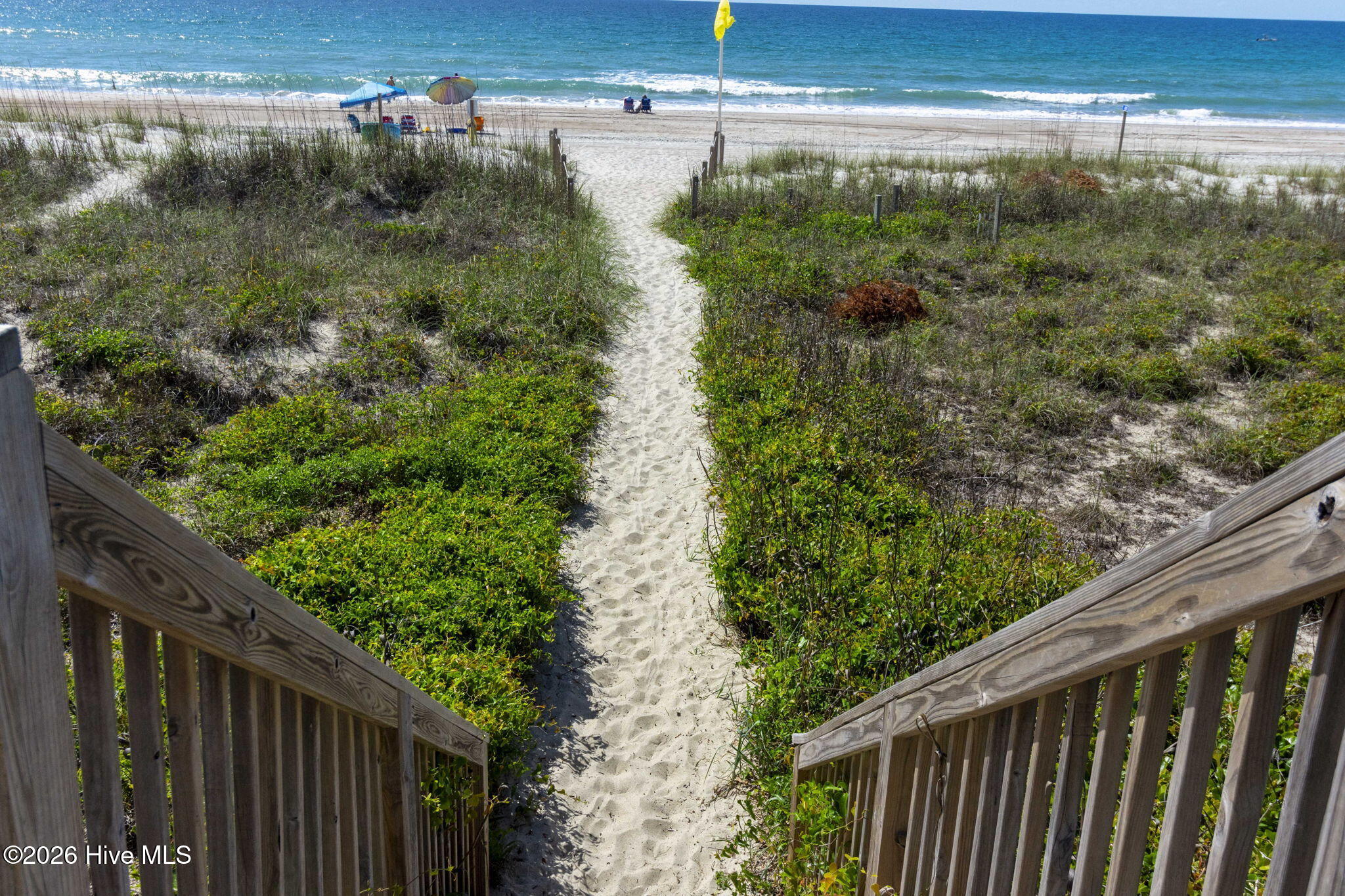 100565691 | Photo 72