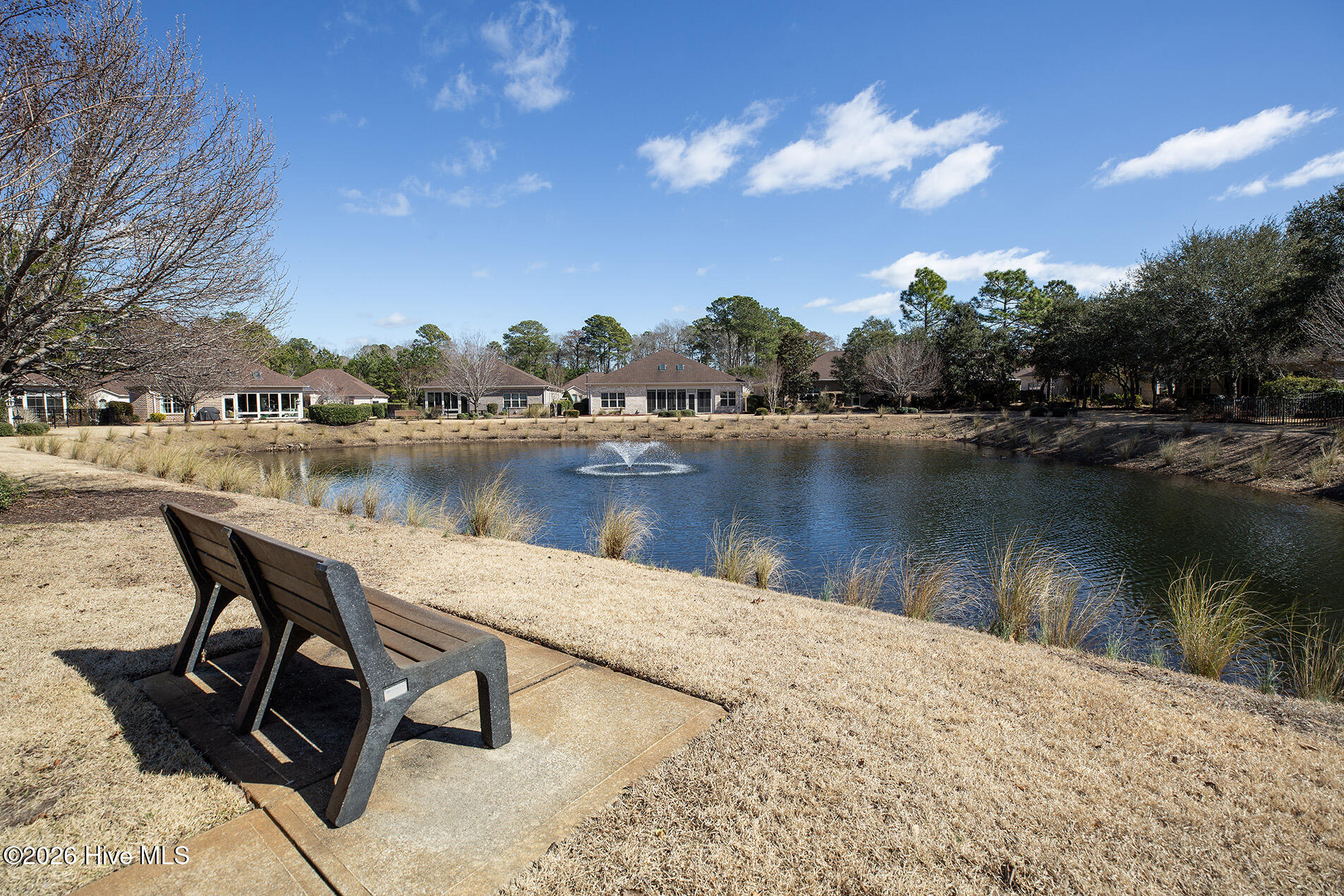 100556141 | Photo 43