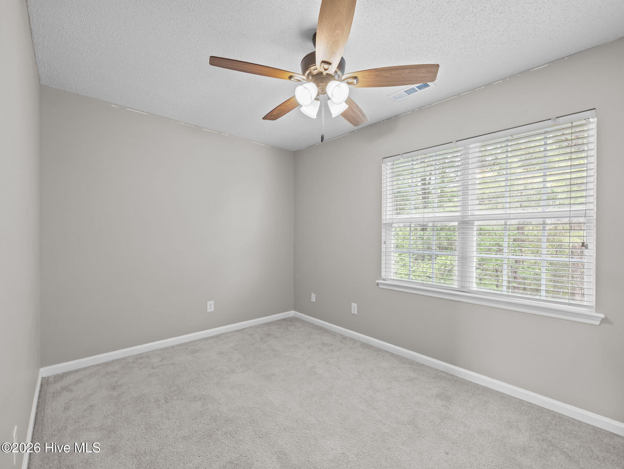 100565275 | Photo 20