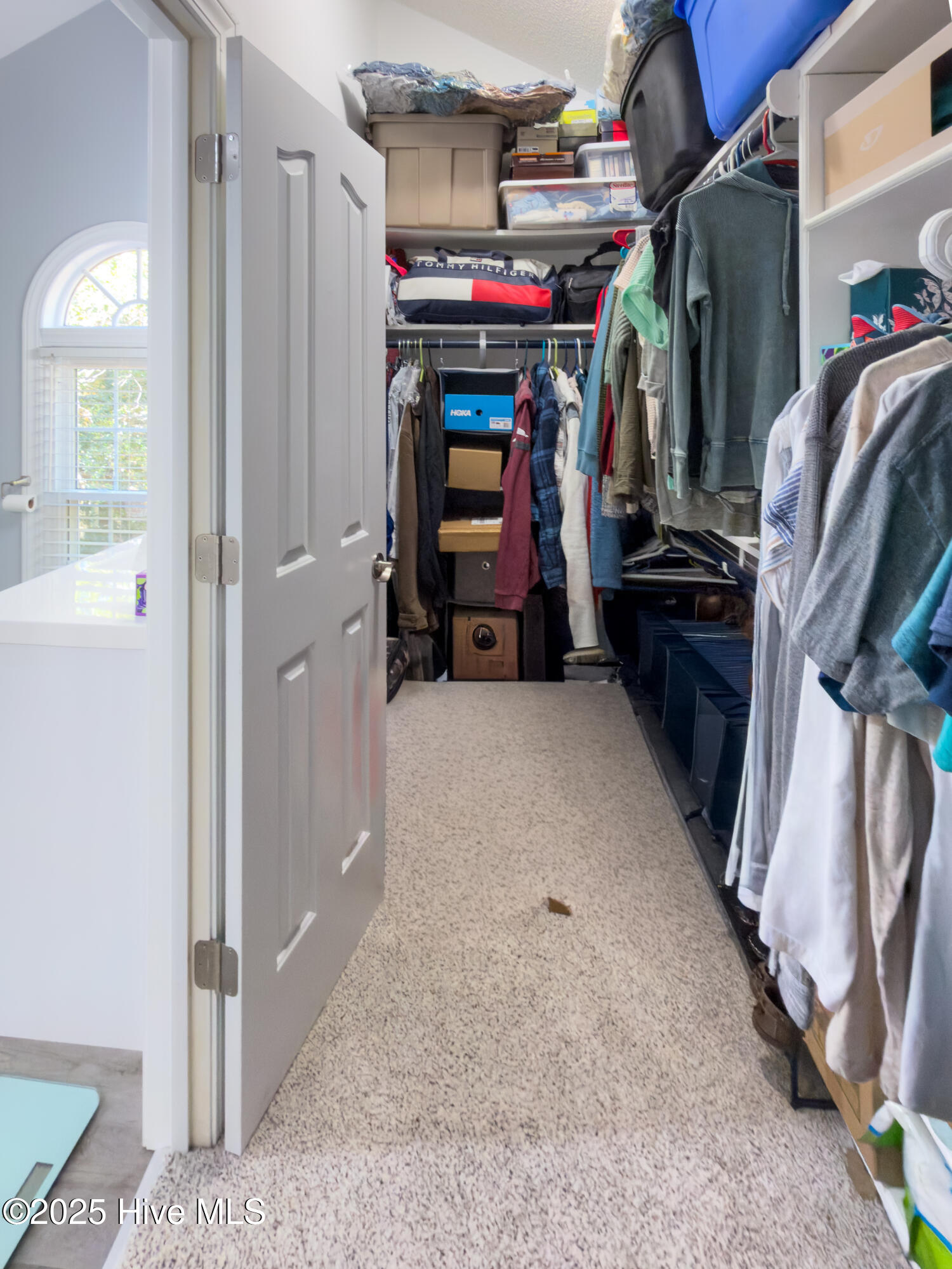 100542909 | Photo 37