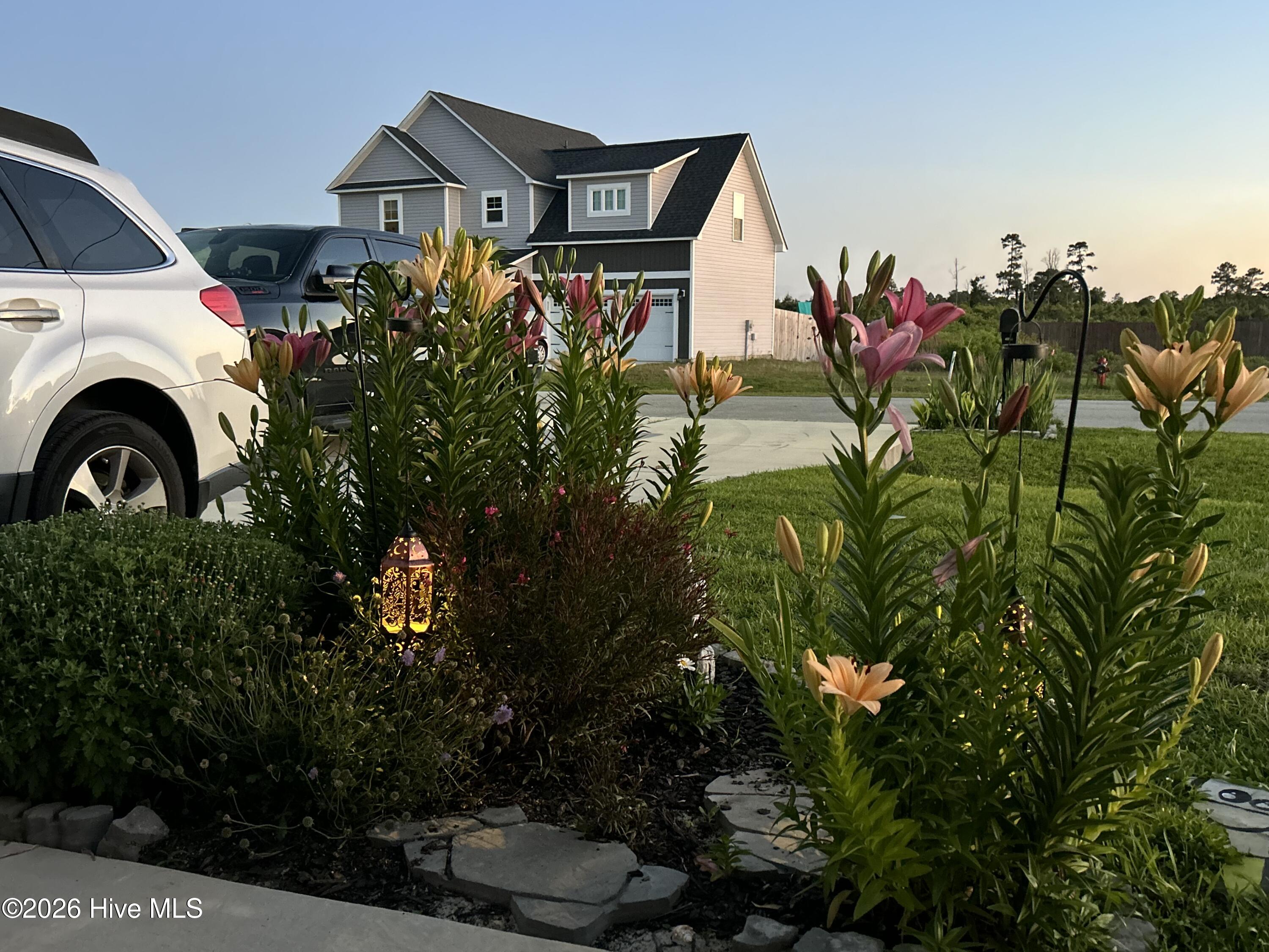 100549687 | Photo 83