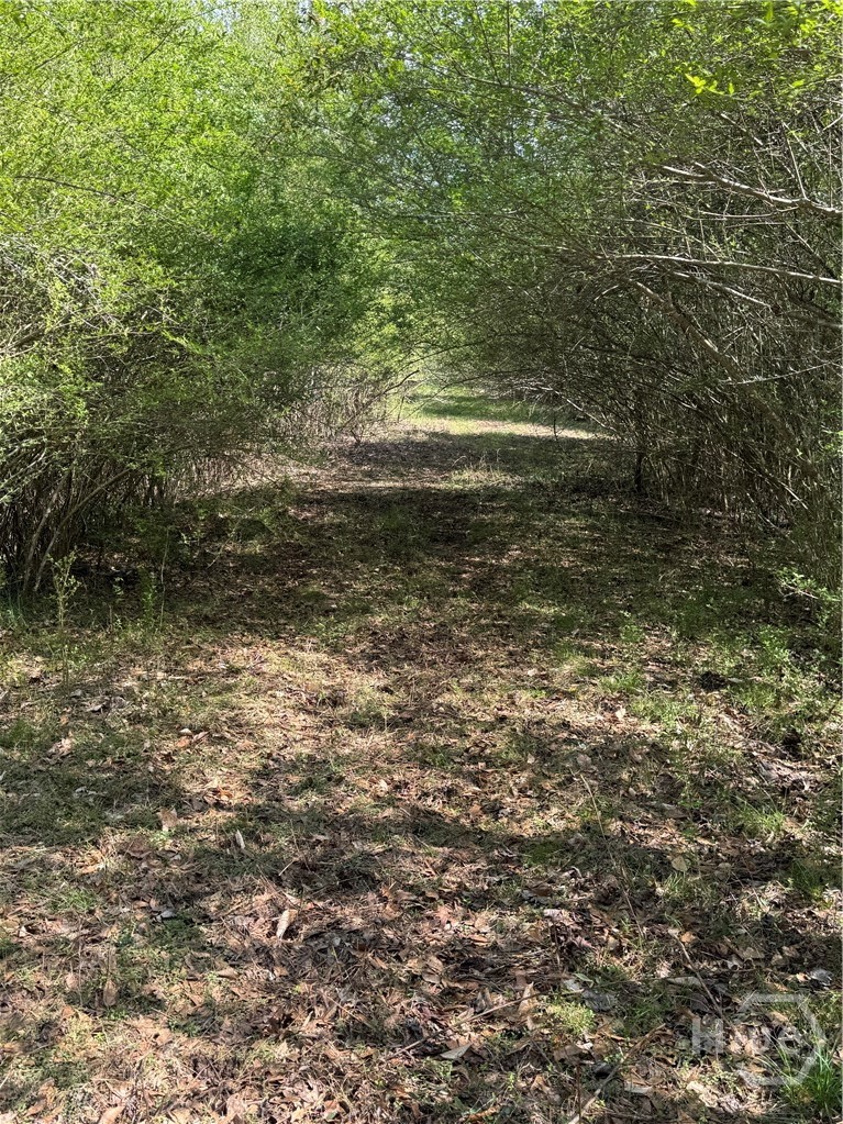 738 Old Mineral Springs Road, Elberton, GA, 30635