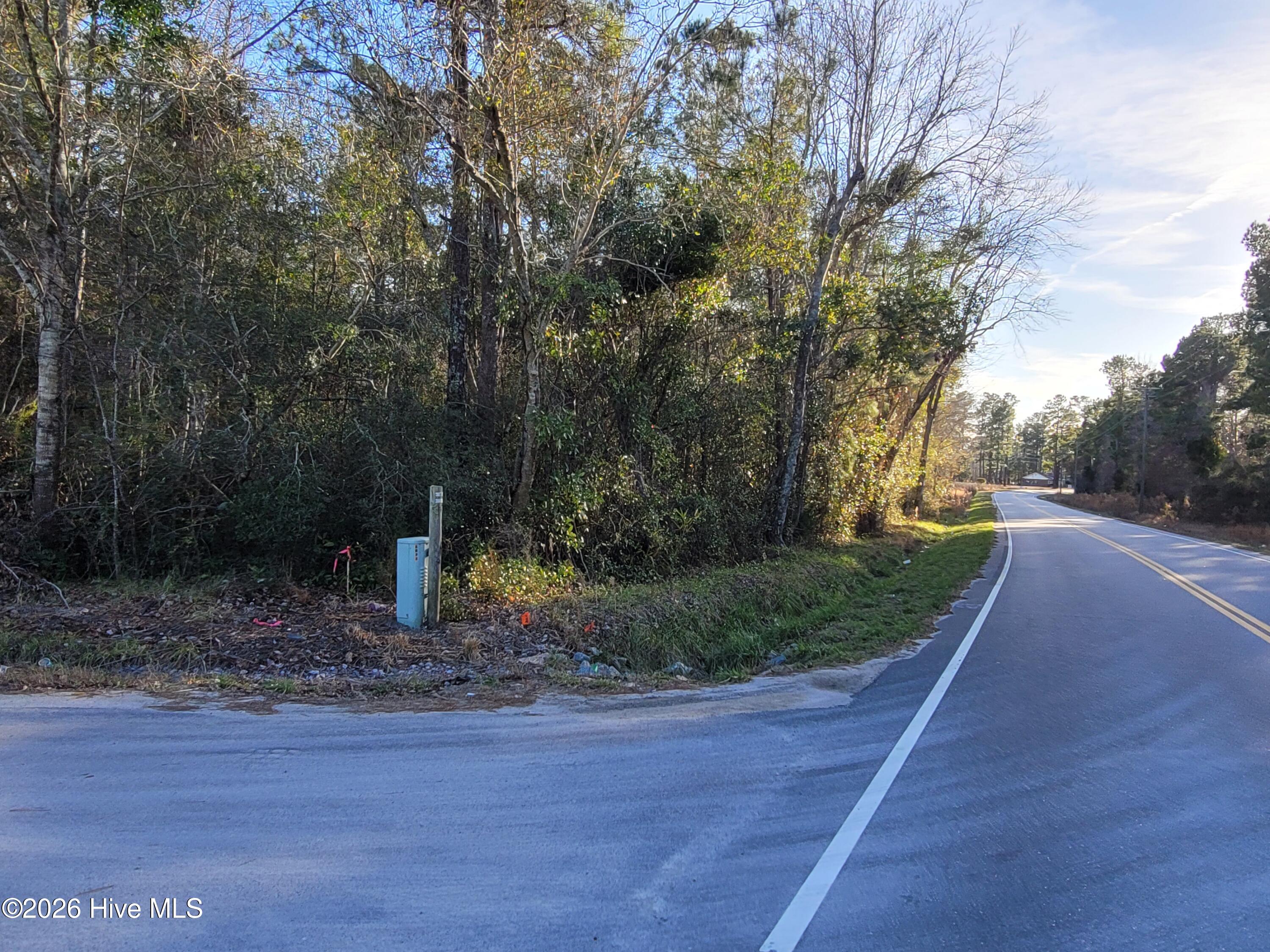 Homes for sale in Loris, SC | Tbd Lot 1 Auburn Dr, Loris, SC 29569 | MLS# 100549137