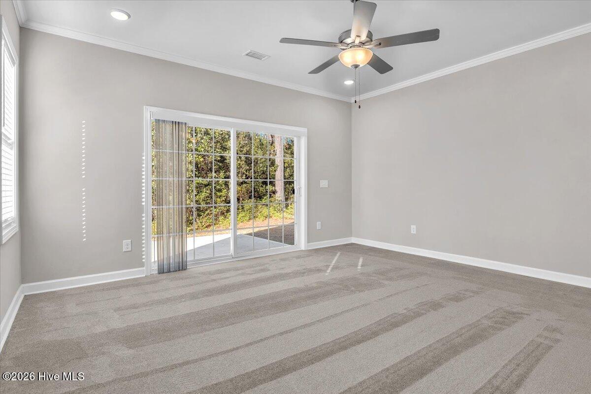 100551276 | Photo 11