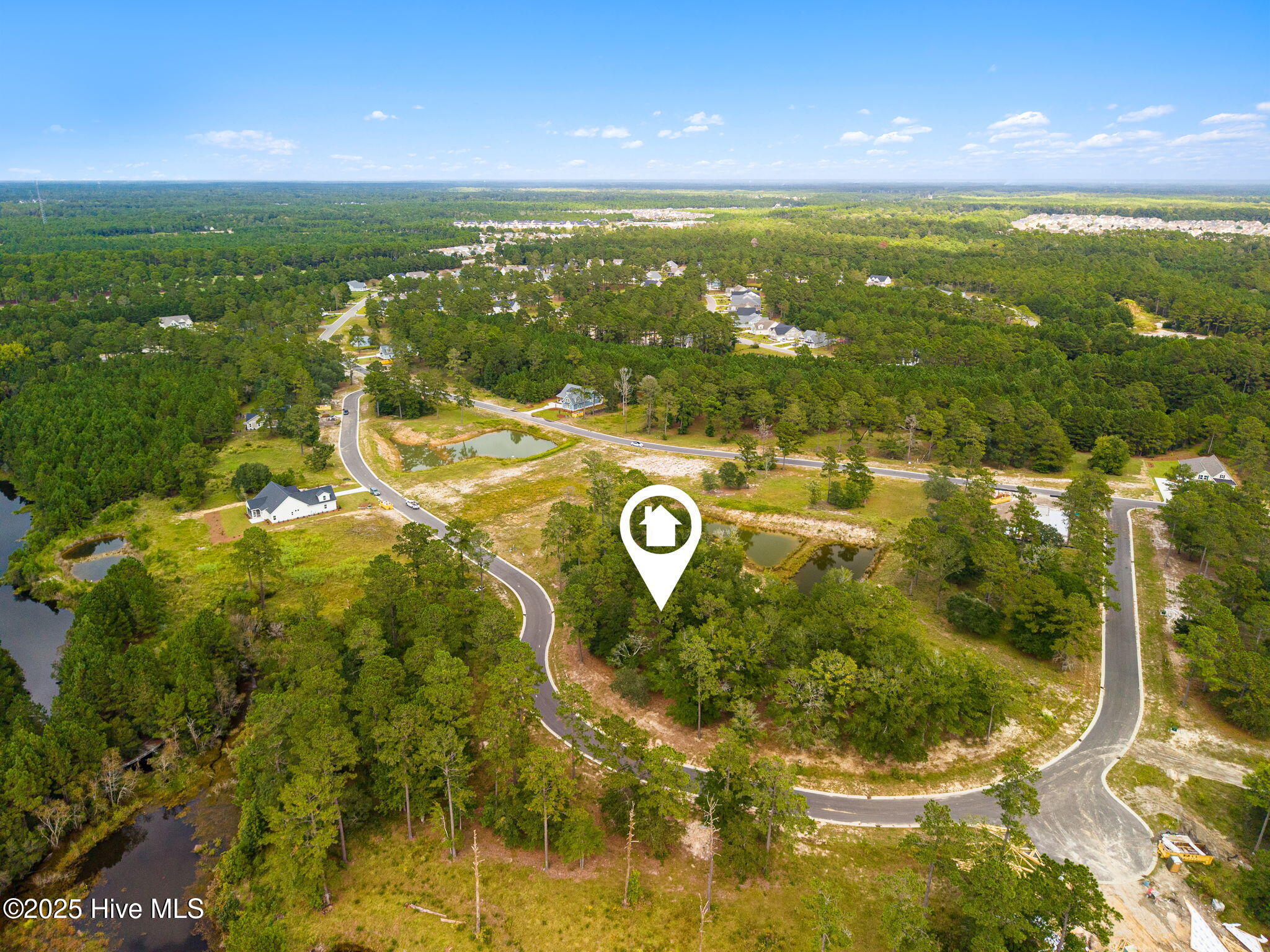 100534524 | Photo 10