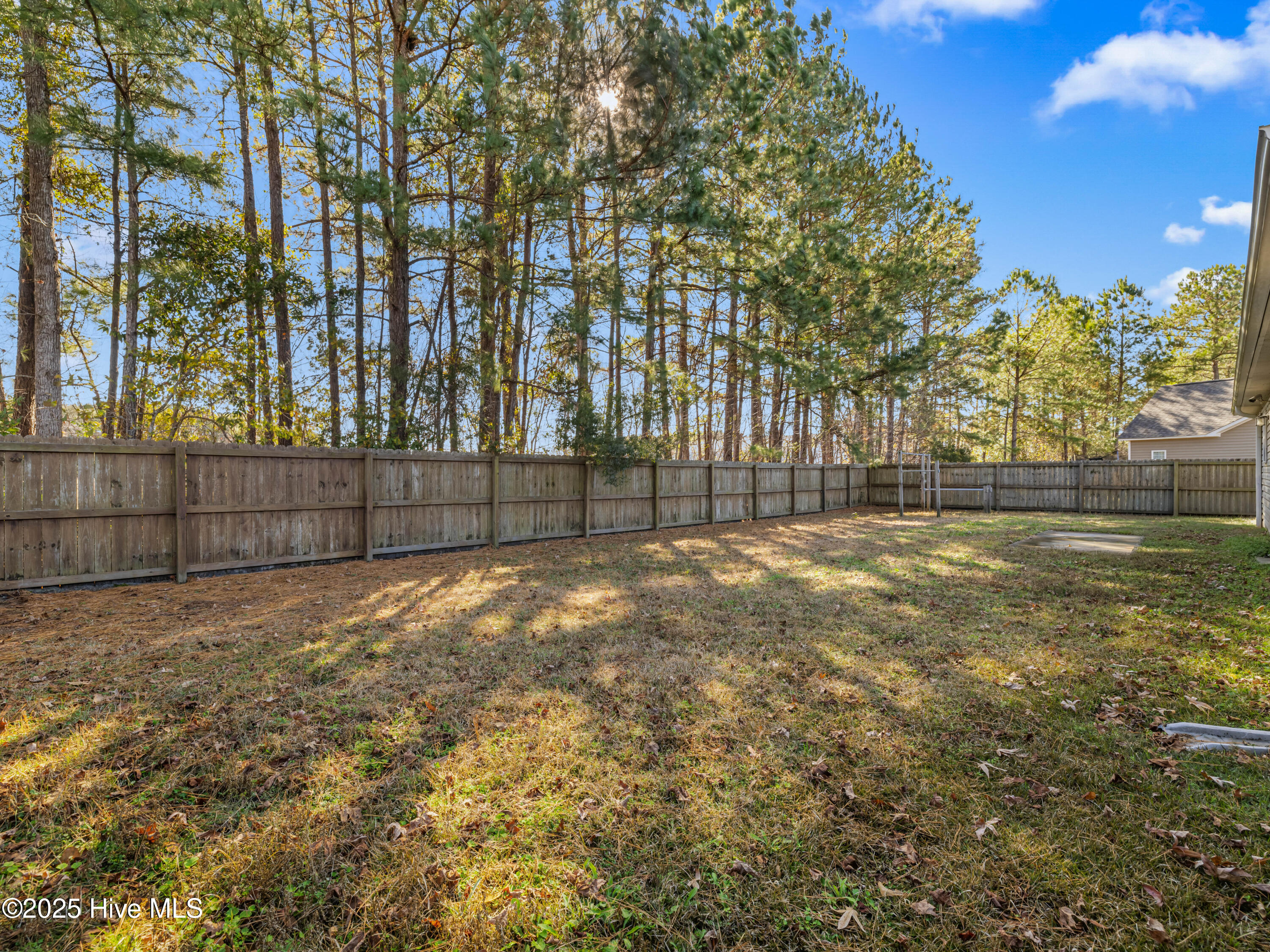 100565265 | Photo 19