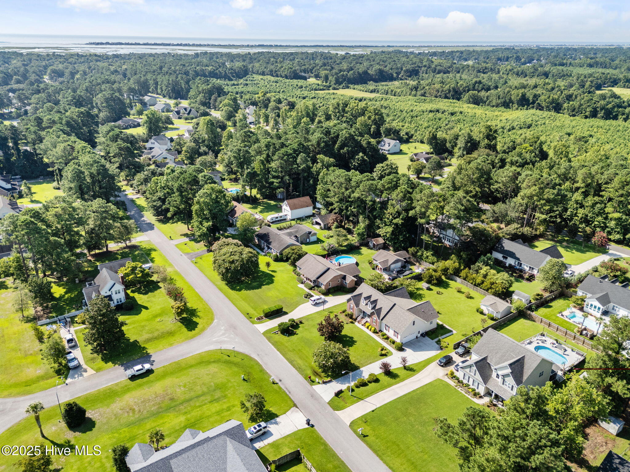 100511511 | Photo 47