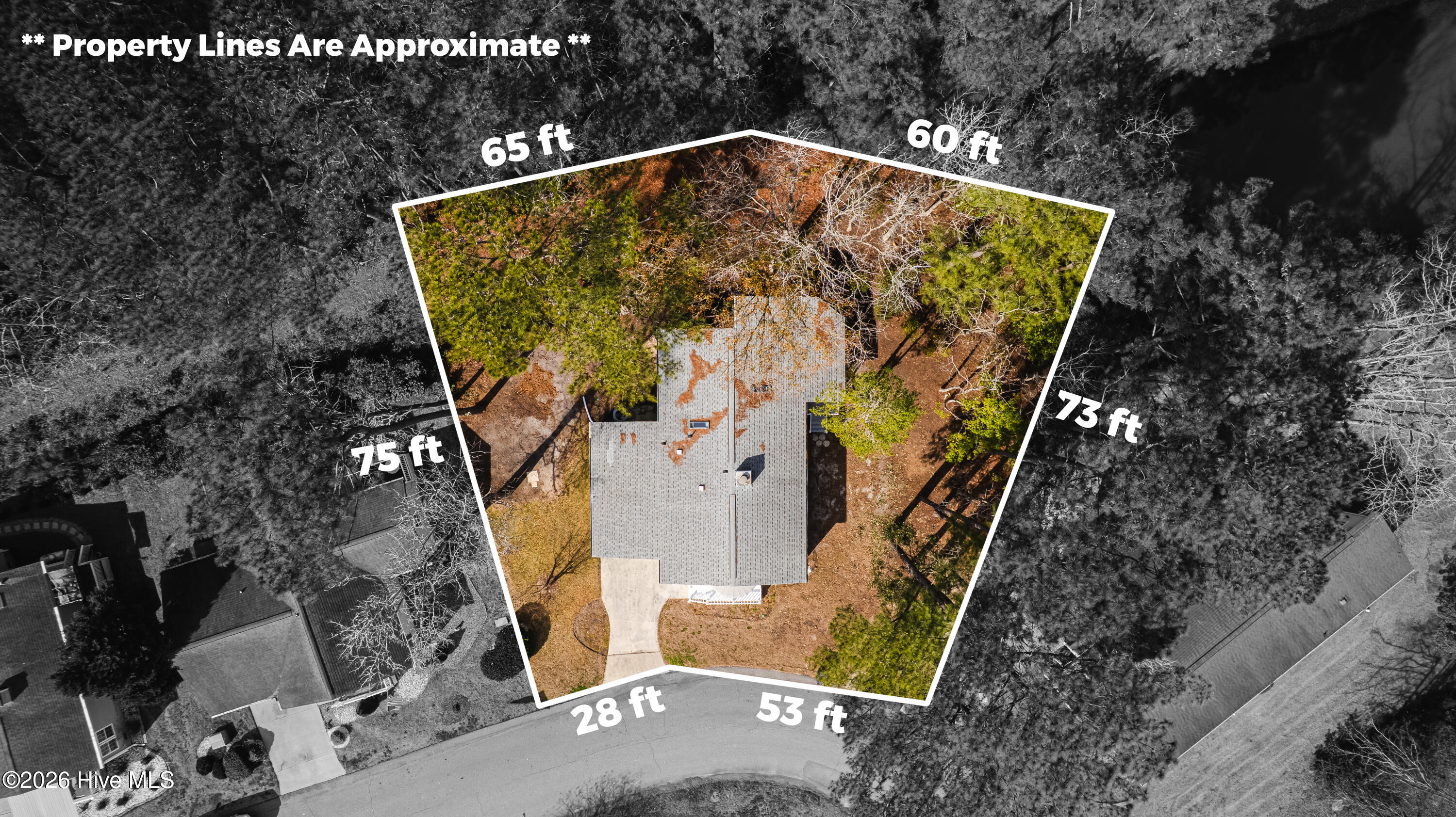 100555221 | Photo 36