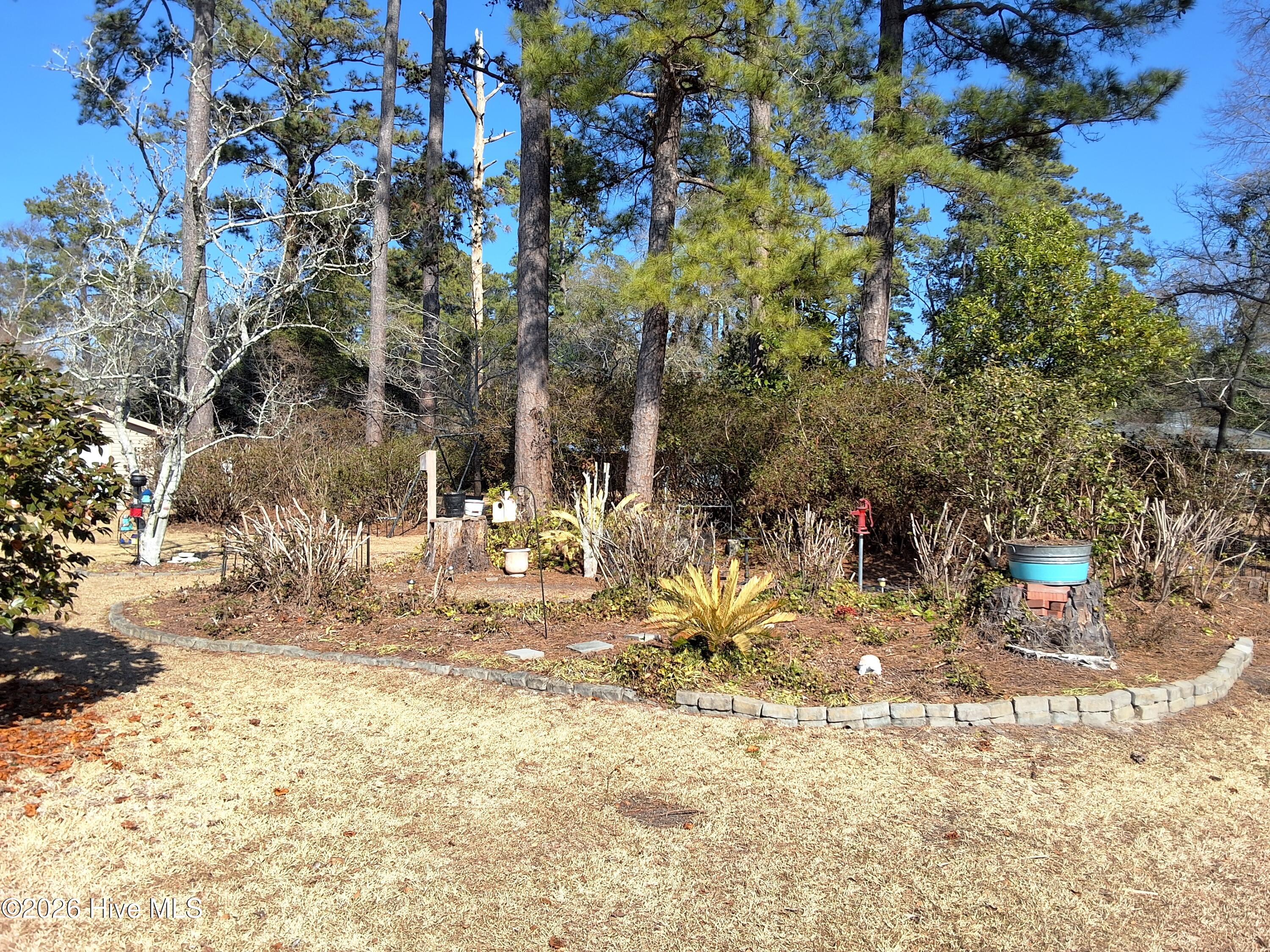 100554569 | Photo 97