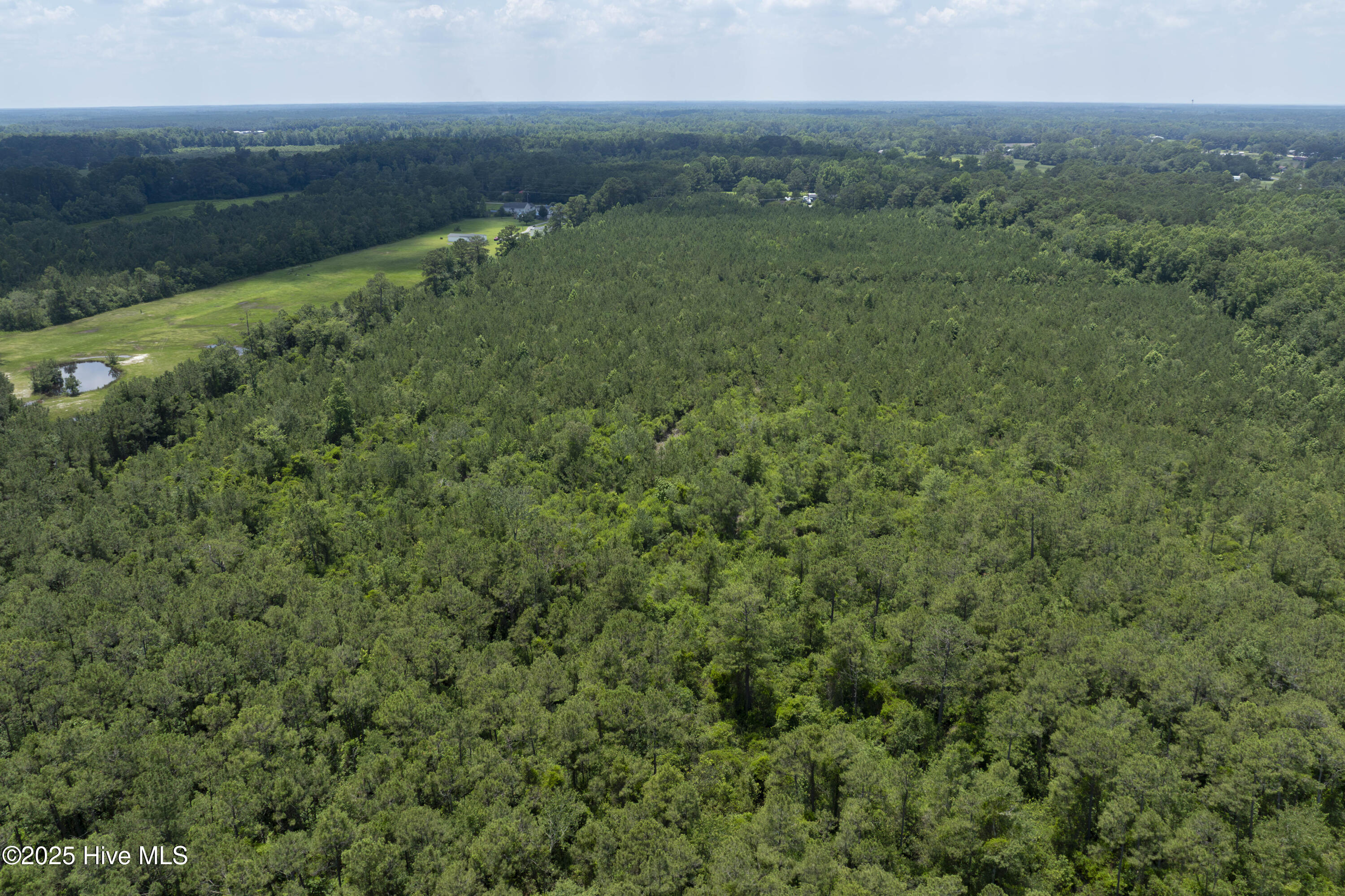 100516949 | Photo 18