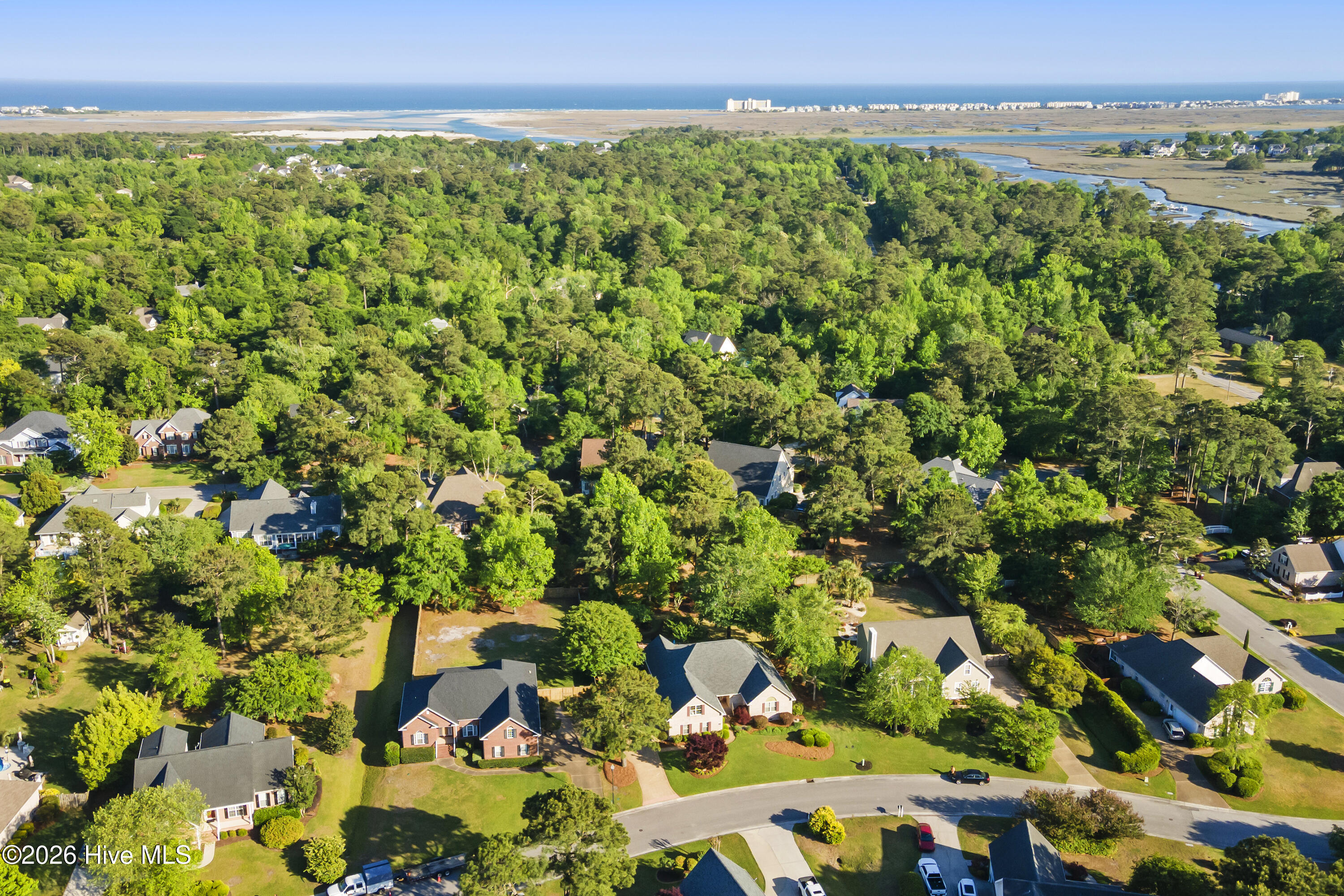 100567457 | Photo 29