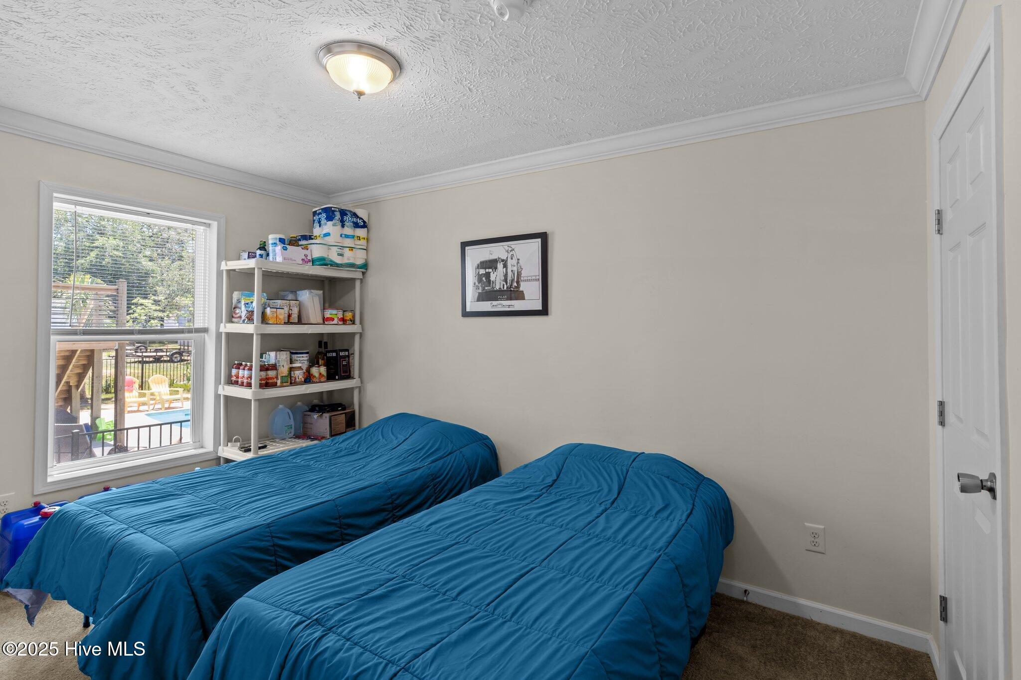 100509442 | Photo 16