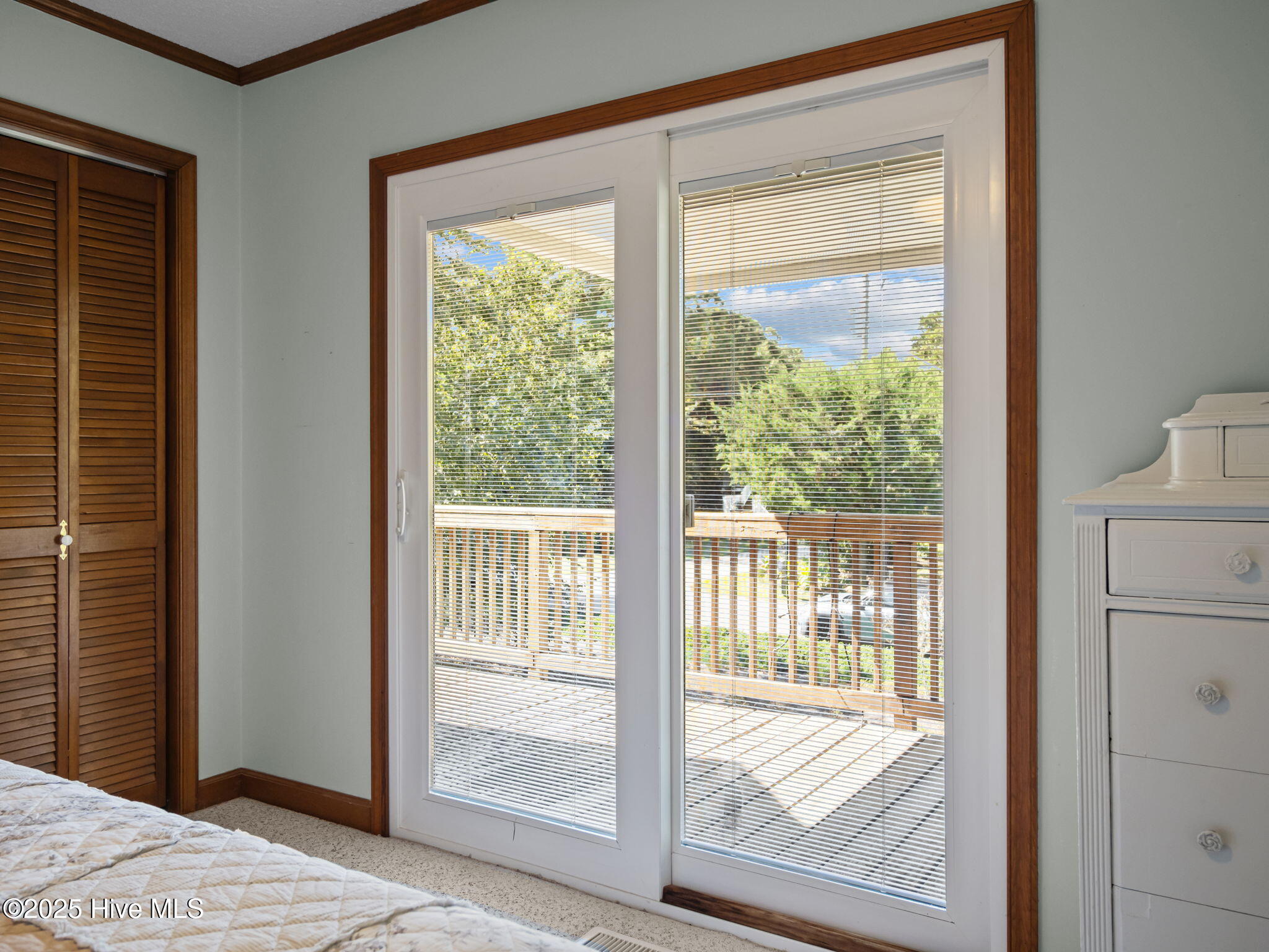 100533073 | Photo 33