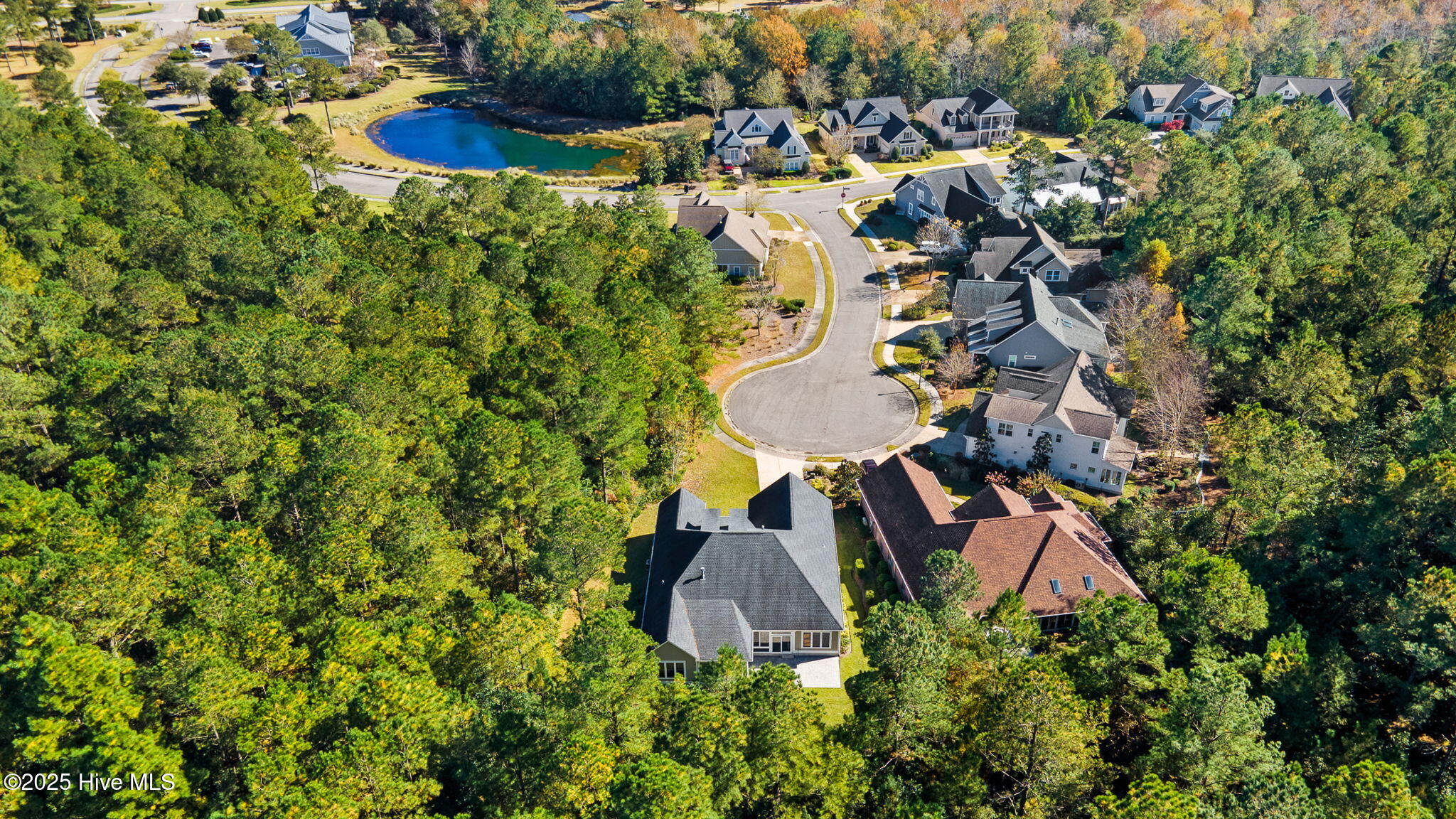 100542044 | Photo 55