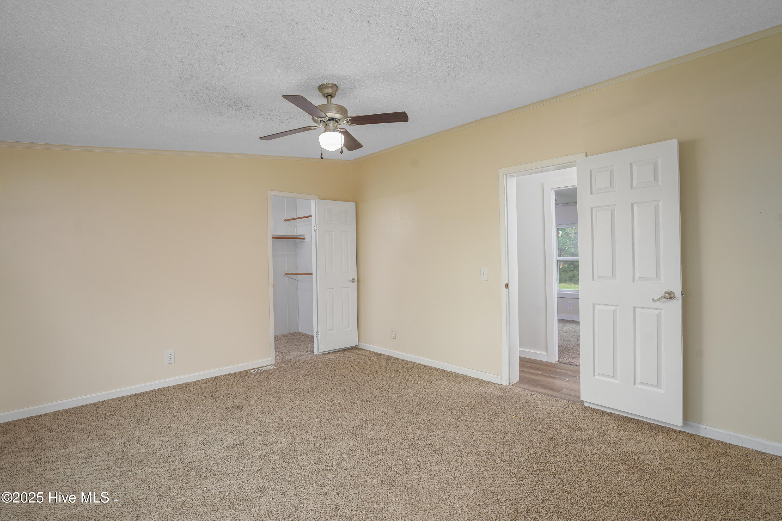 100536641 | Photo 35