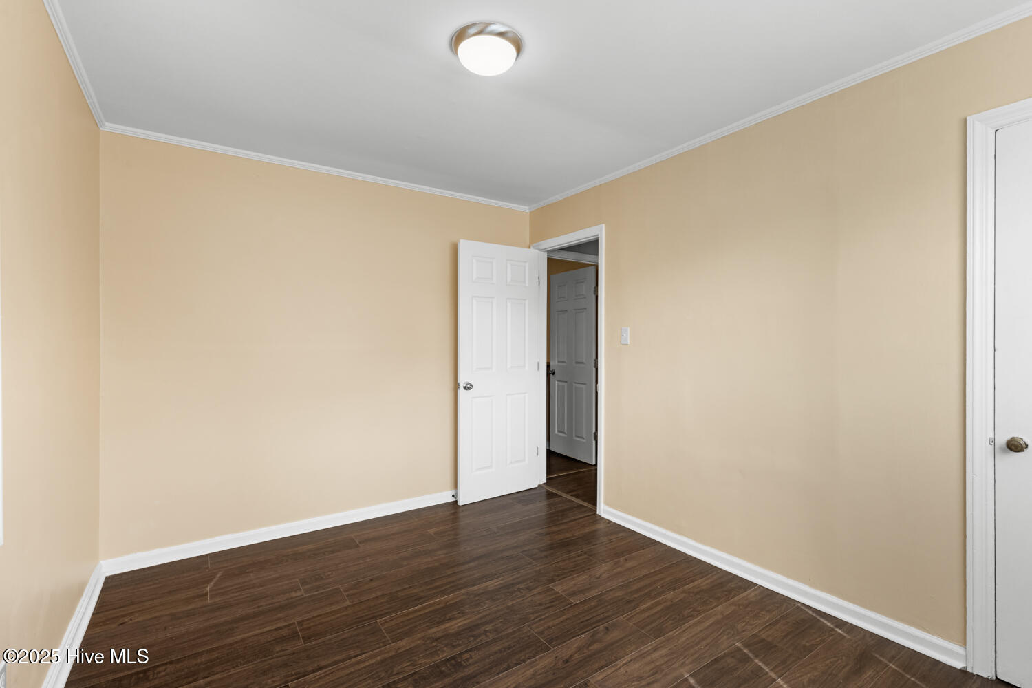 100535503 | Photo 17