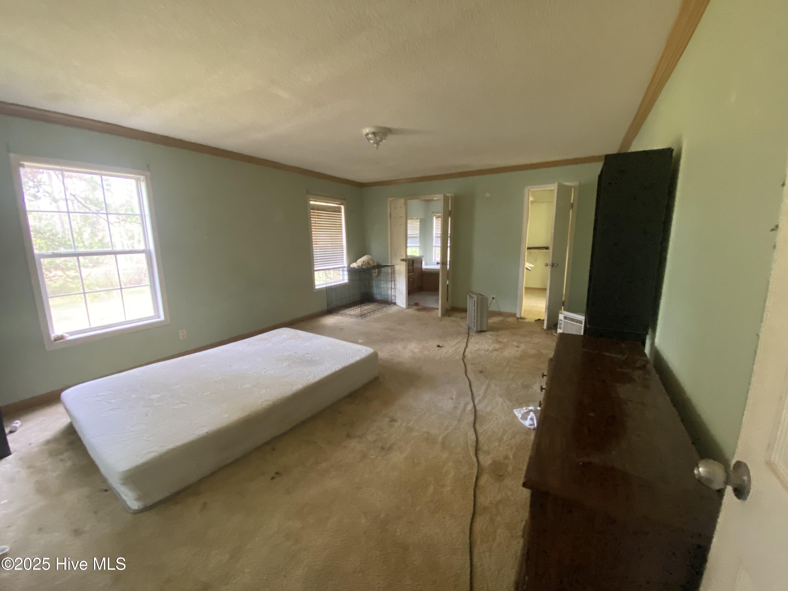 100543834 | Photo 12