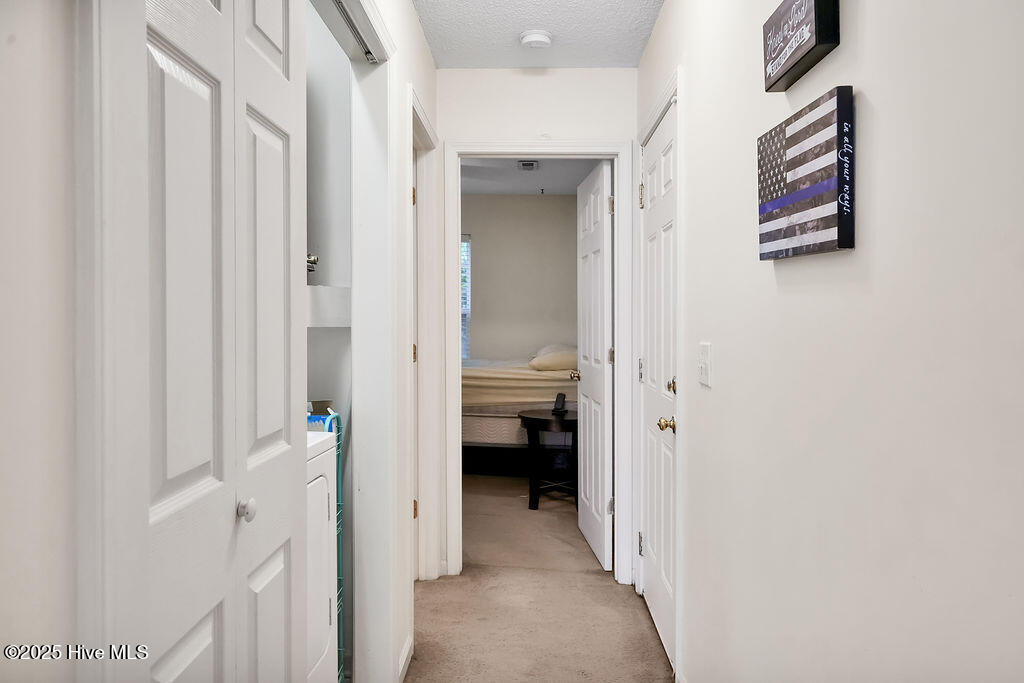 100536074 | Photo 11