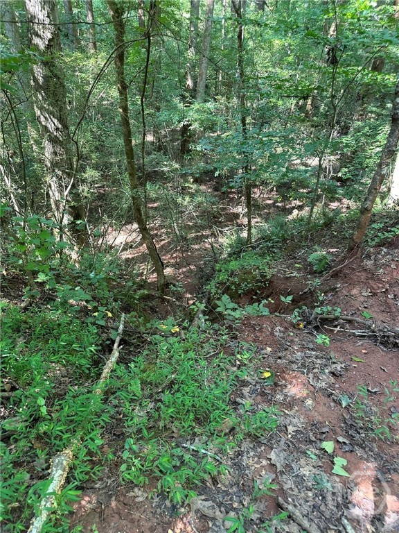 00 Fears, Madison, GA, 30650