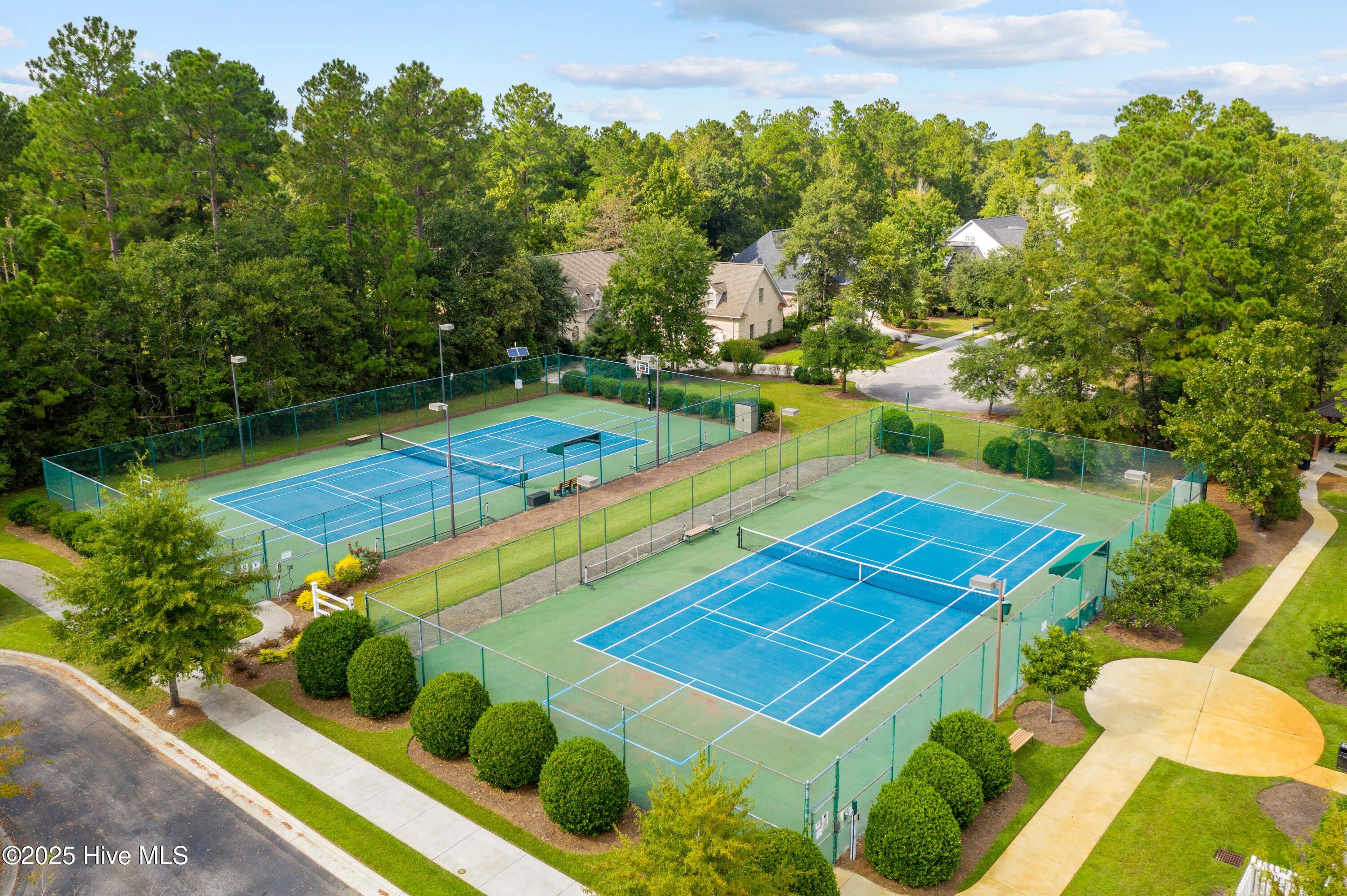 100528039 | Photo 17