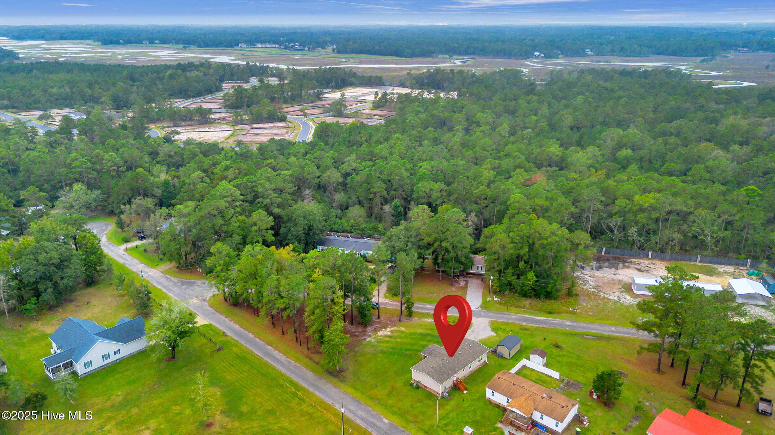 100533753 | Photo 37