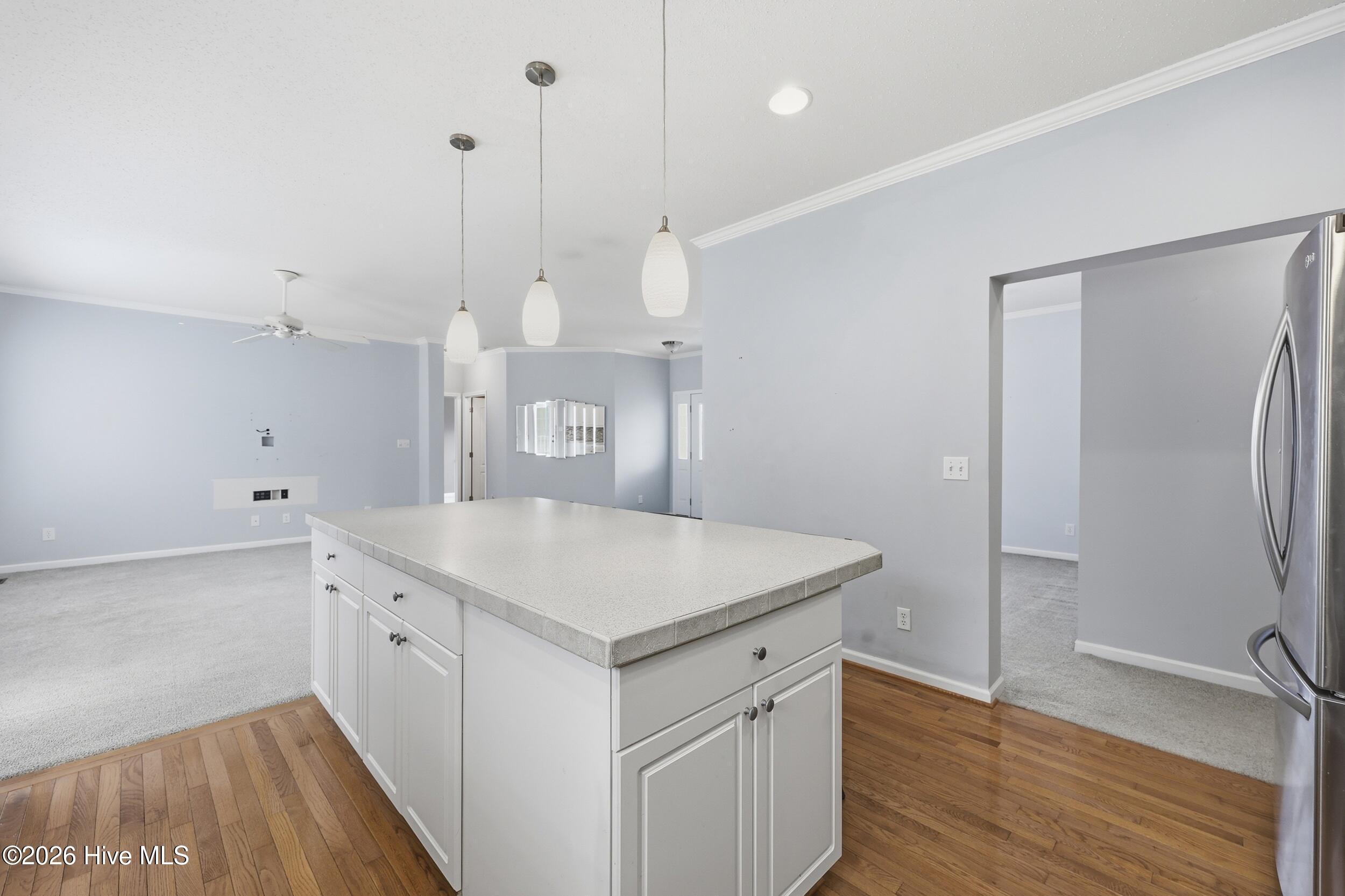 115 Windsor Lane, Edenton, NC, 27932