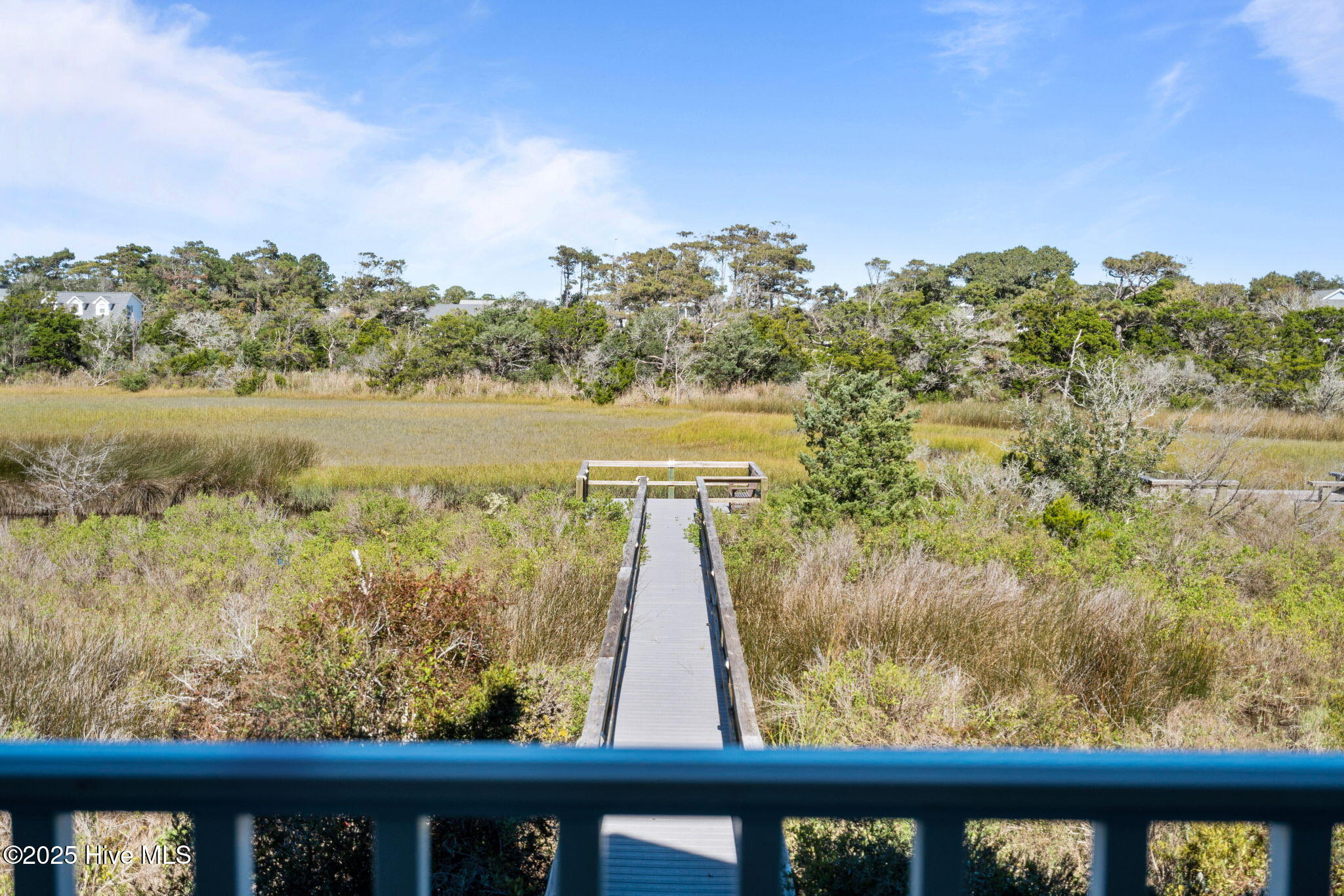 100537497 | Photo 37