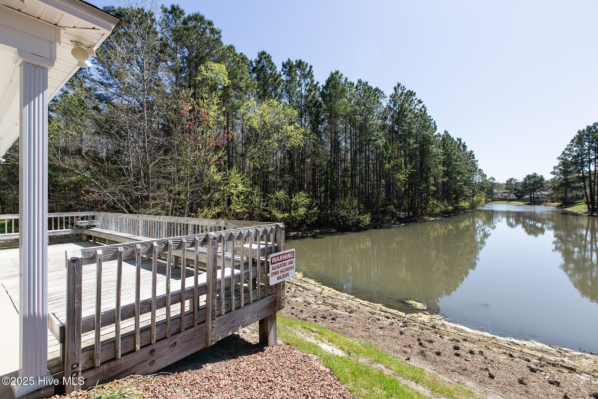 100546860 | Photo 54