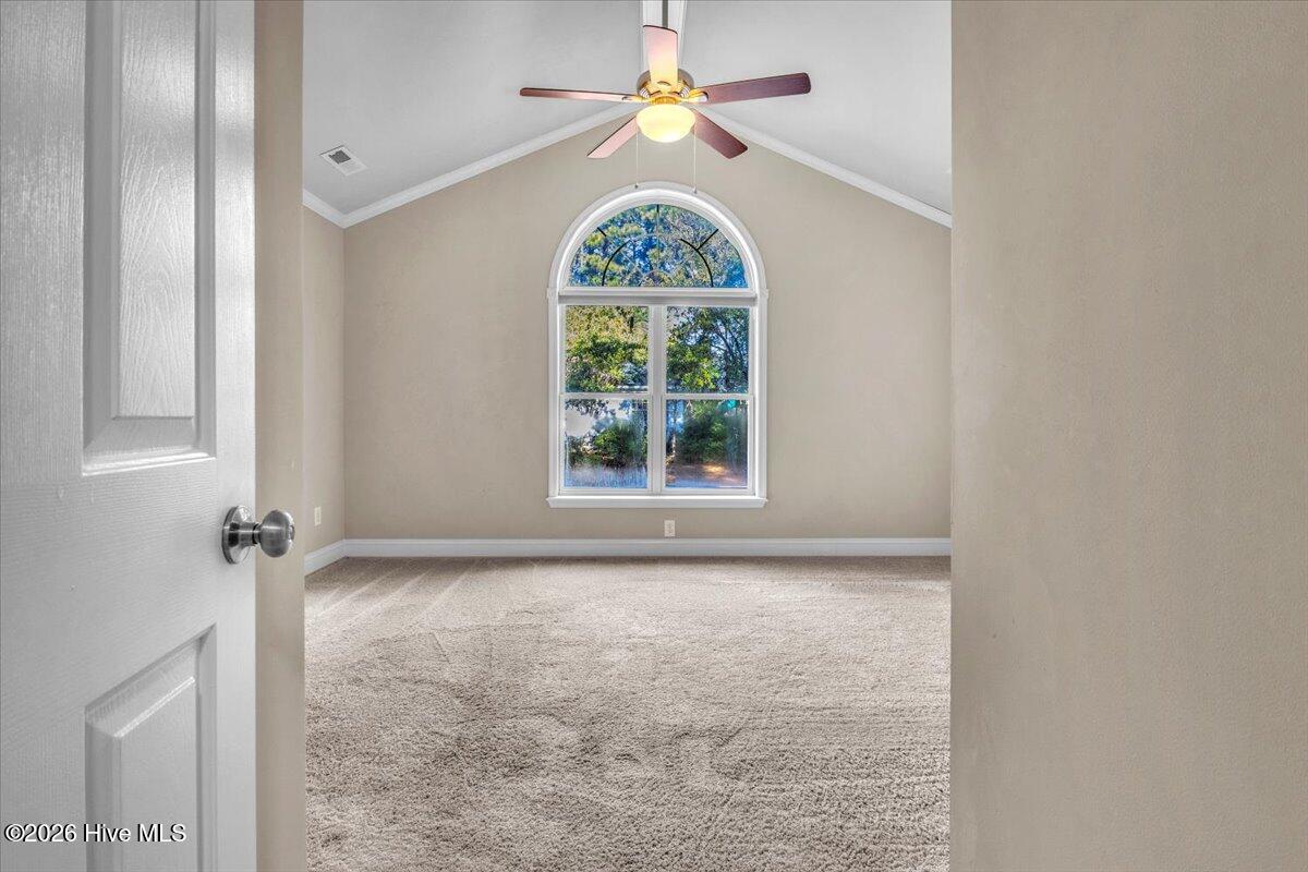 100556413 | Photo 36