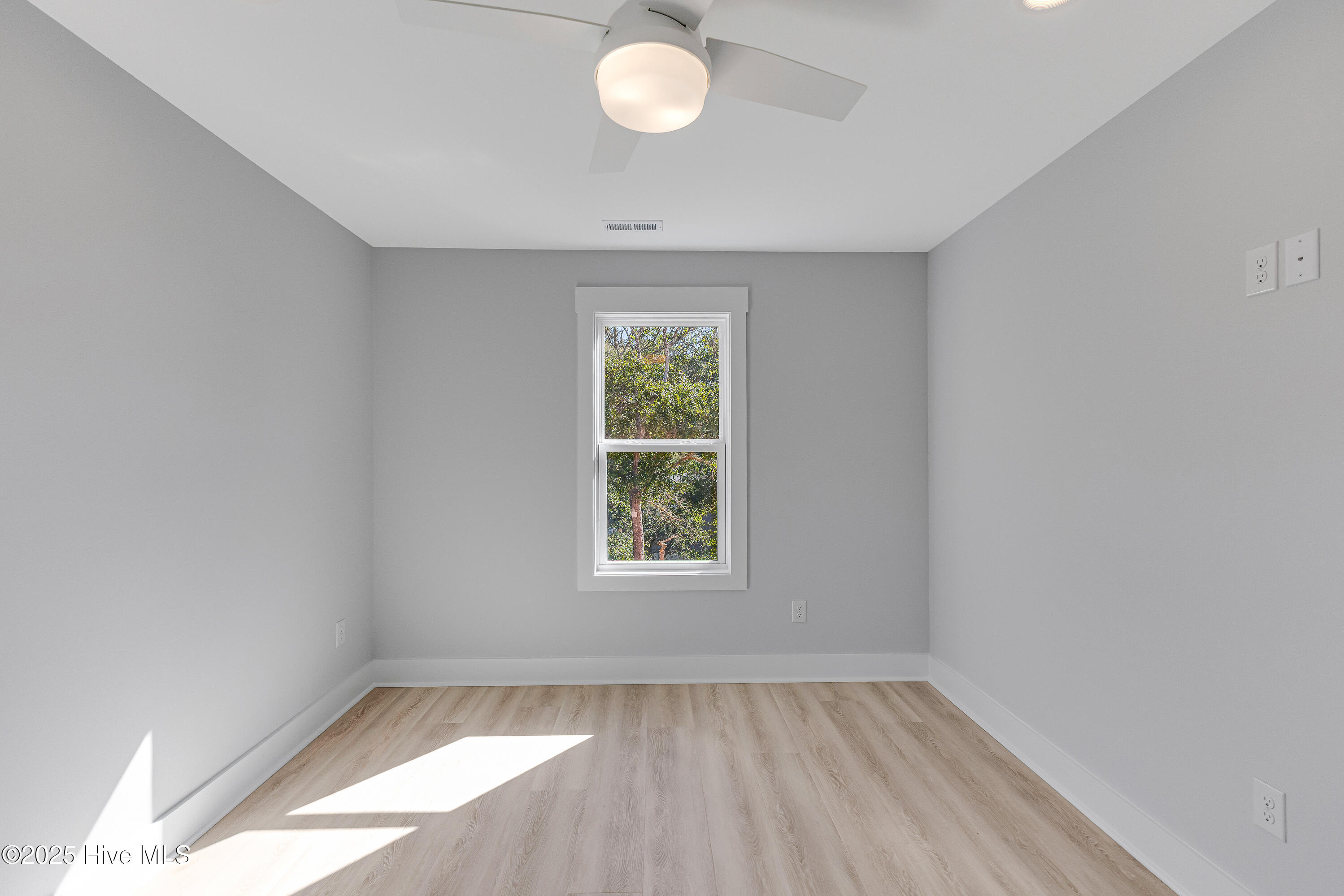 100535613 | Photo 29