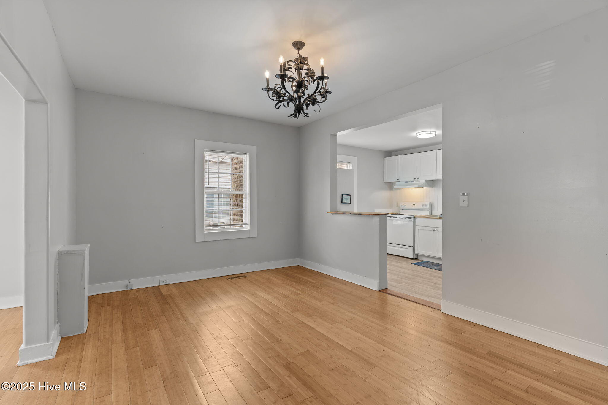 100542982 | Photo 18