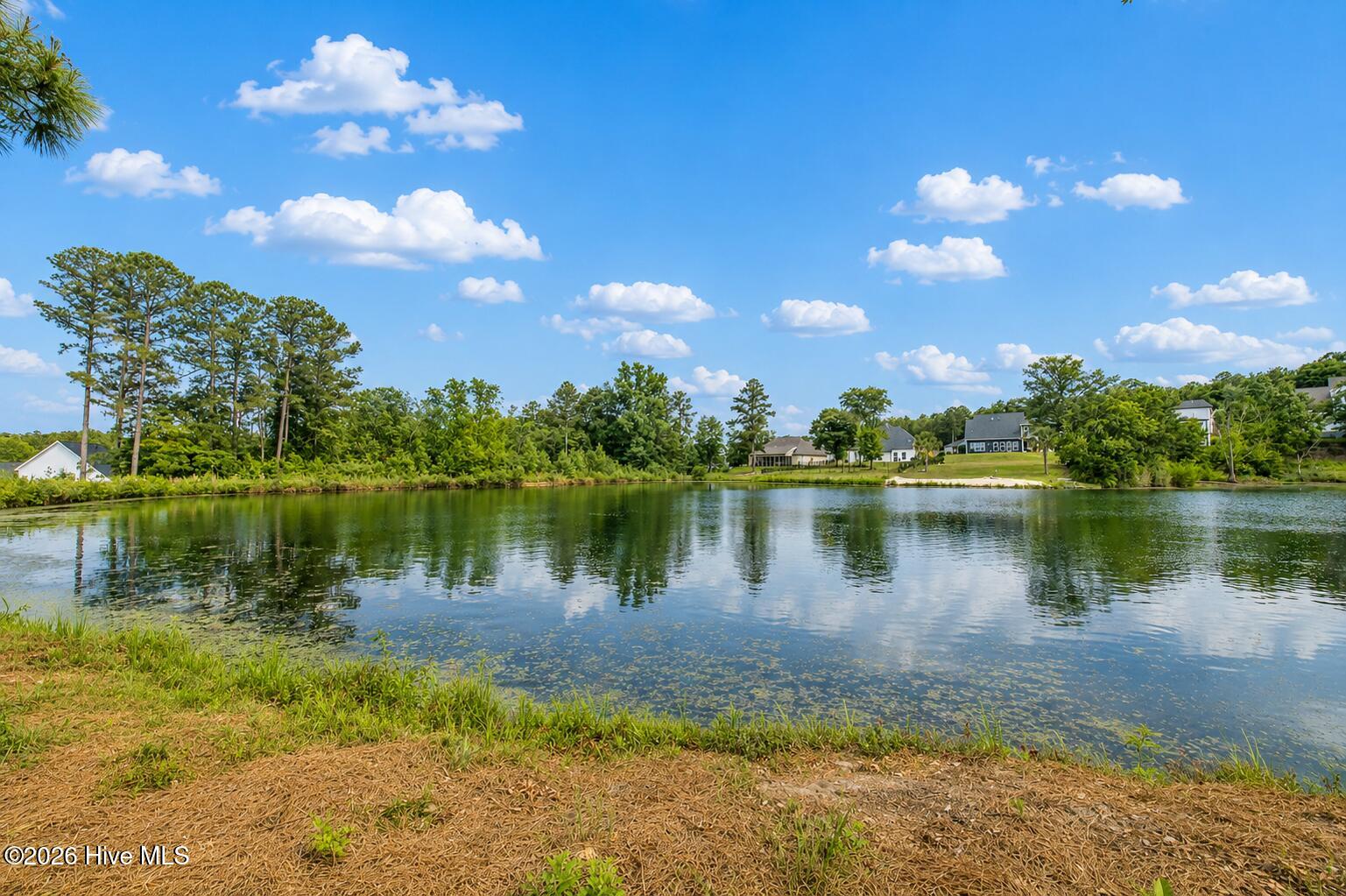 Backyard Lake Views!