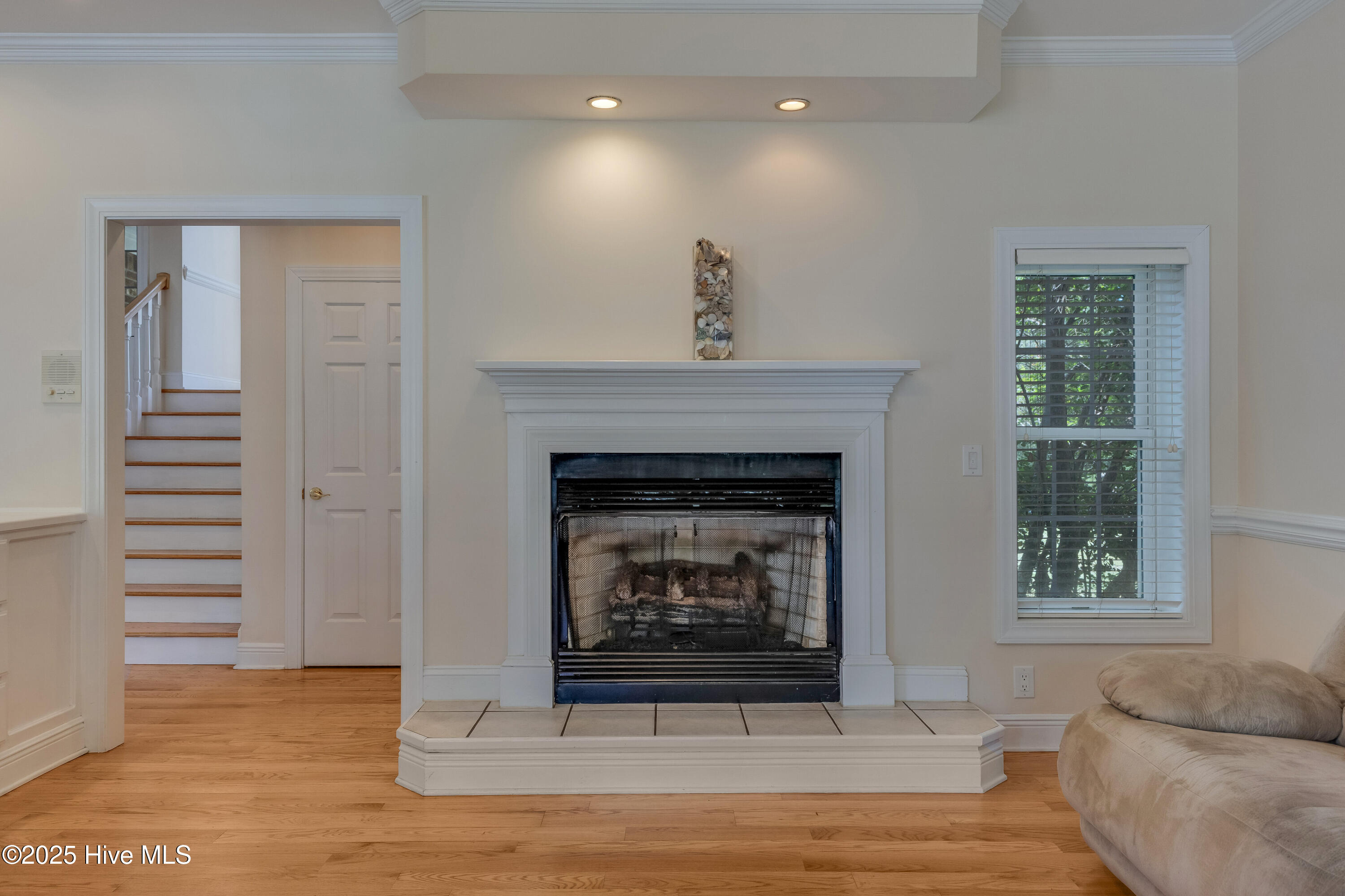 100517619 | Photo 18