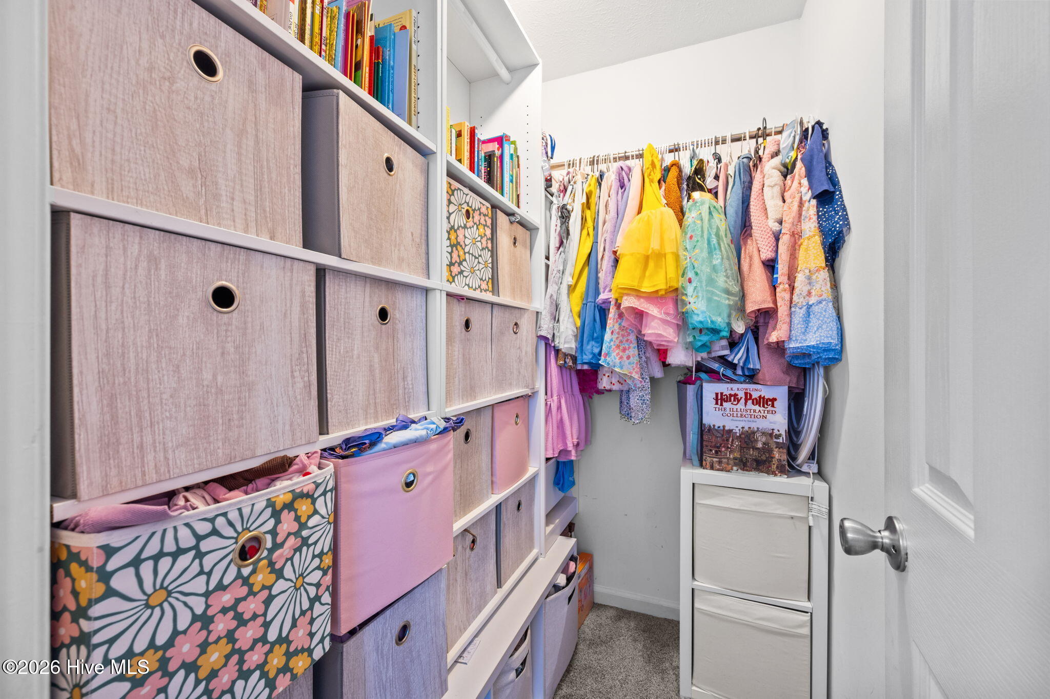 100556653 | Photo 25