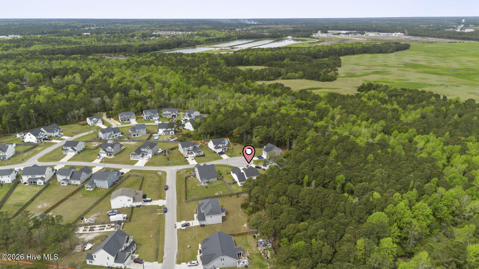 100565917 | Photo 47