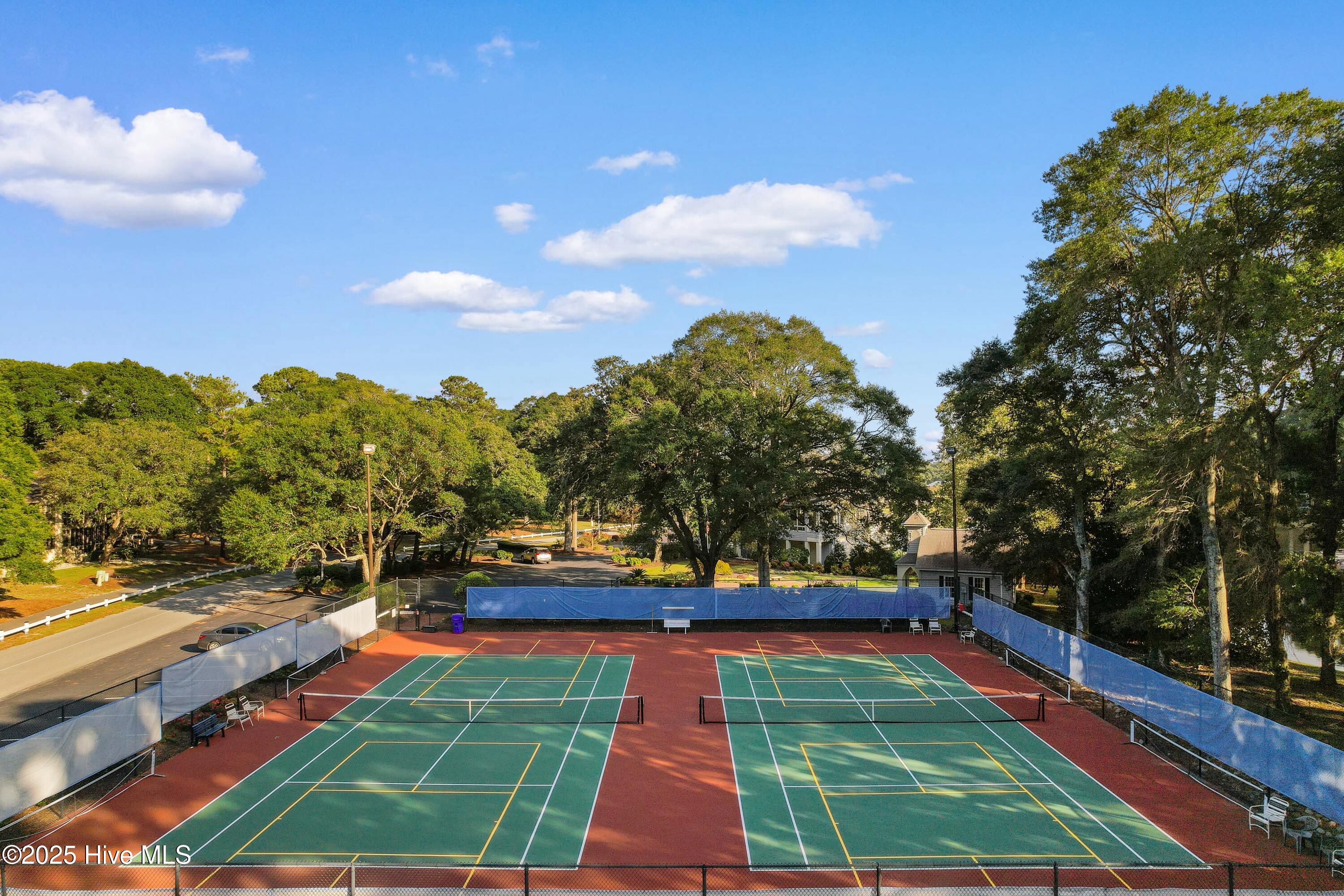 100531039 | Photo 51