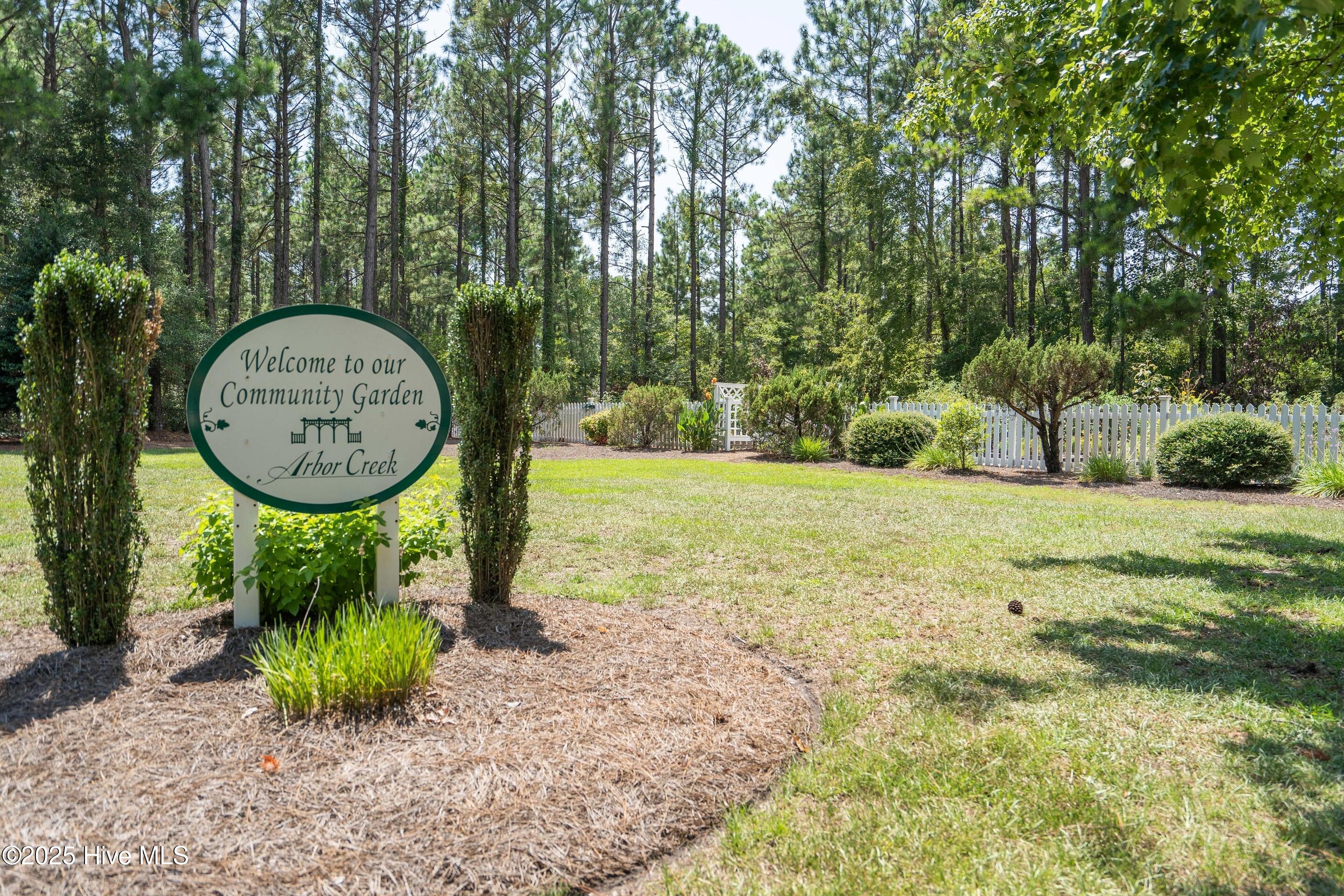 100525982 | Photo 75