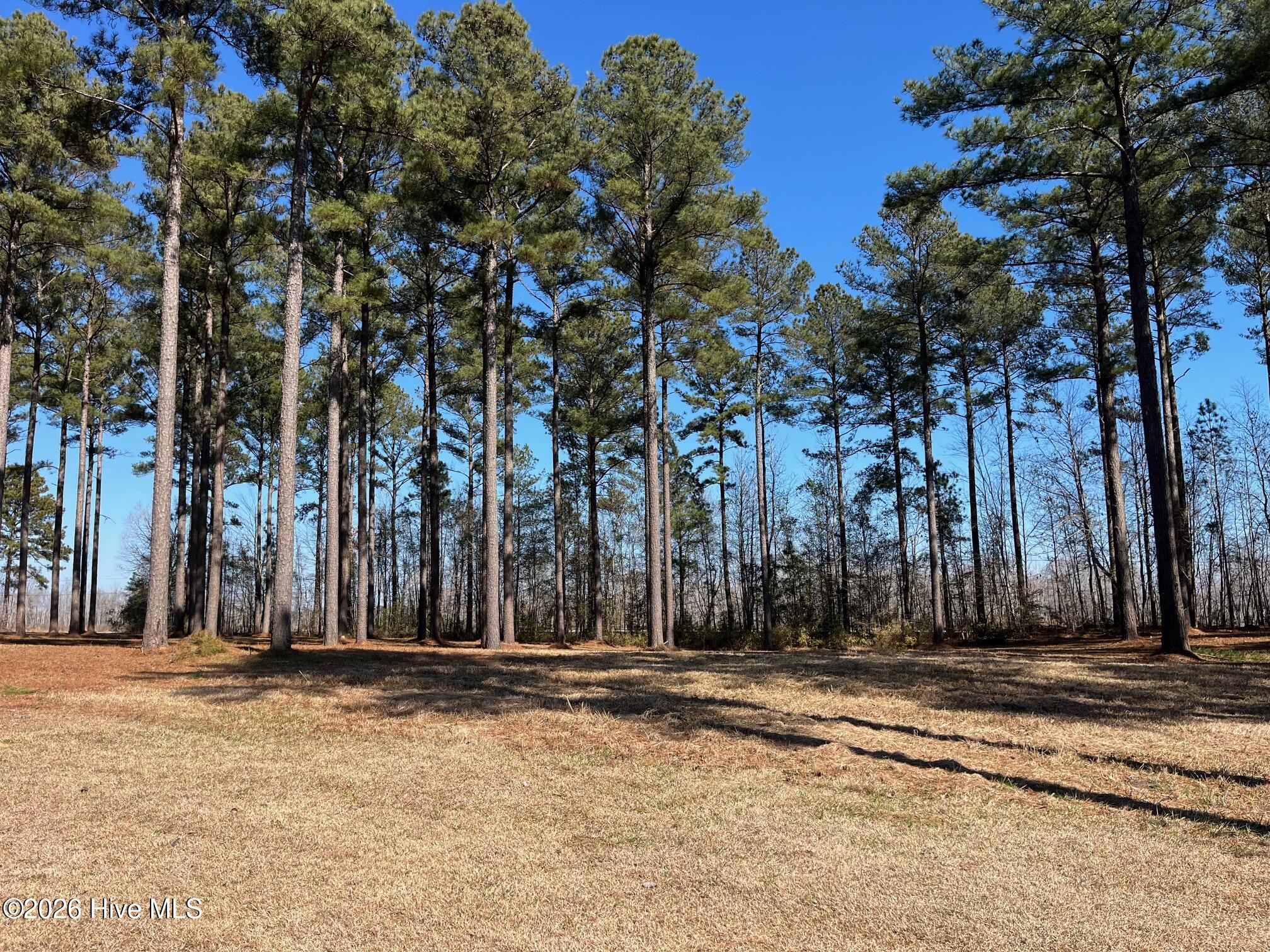 2 122 Bald Head Island Court S,Oriental