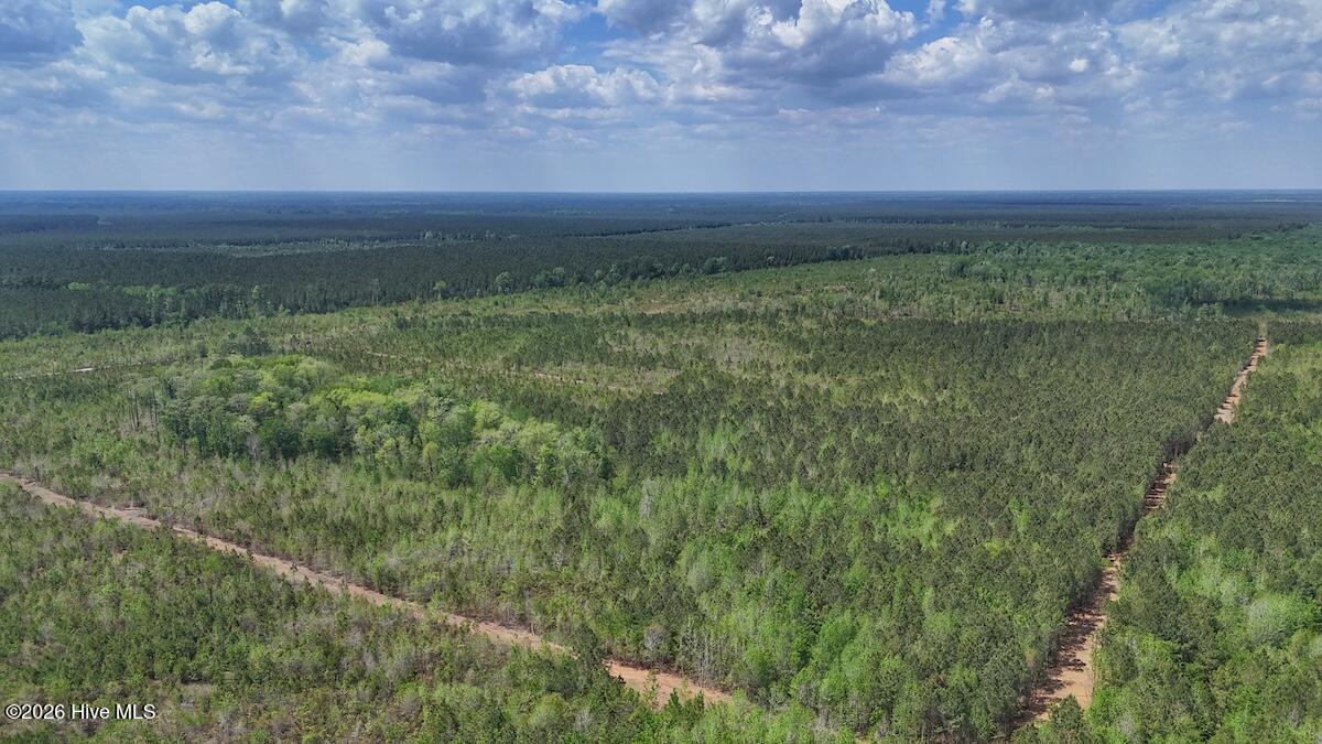 0 Guinea Mill Road, Ernul, NC, 28527