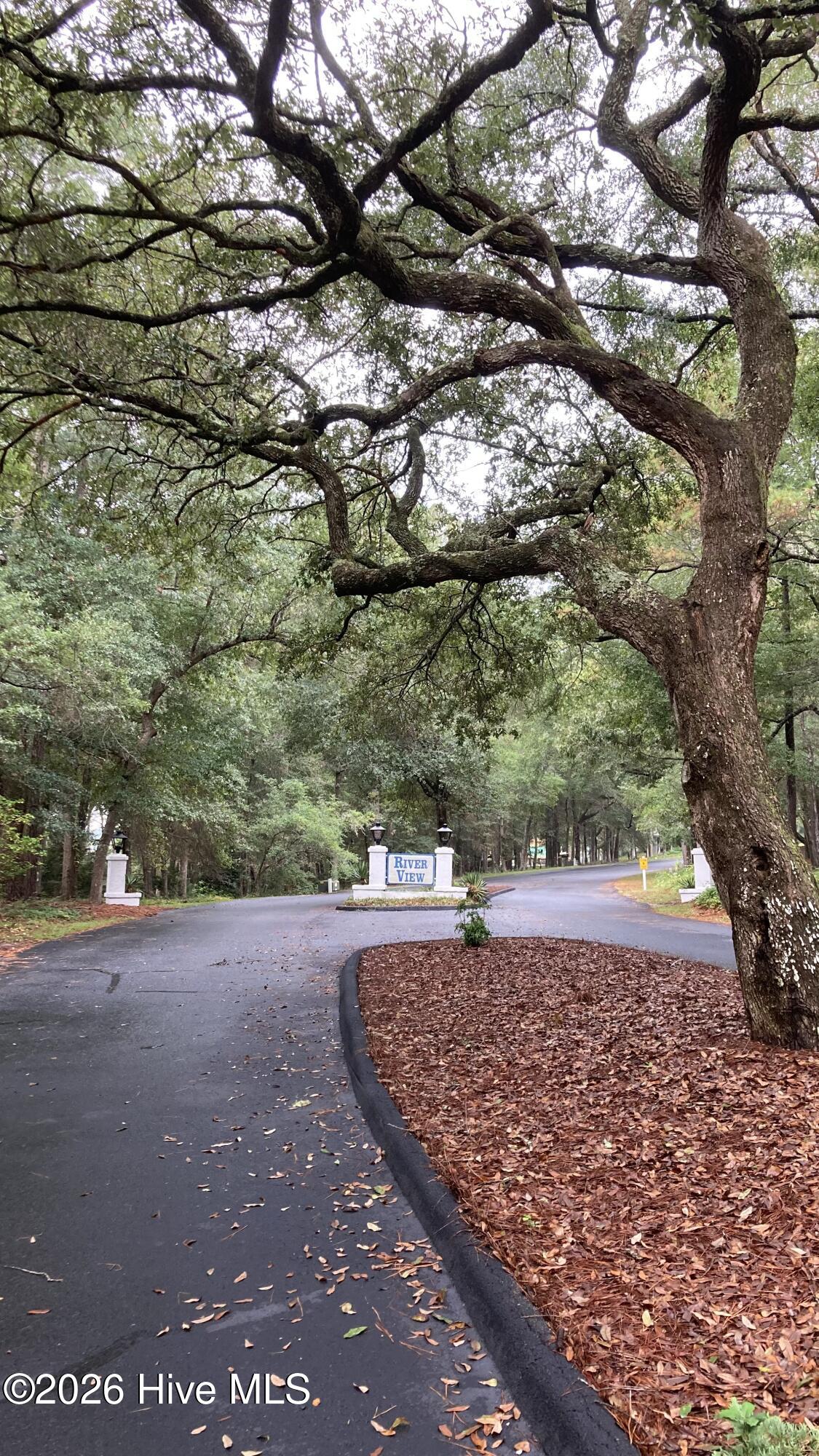 100549954 | Photo 27