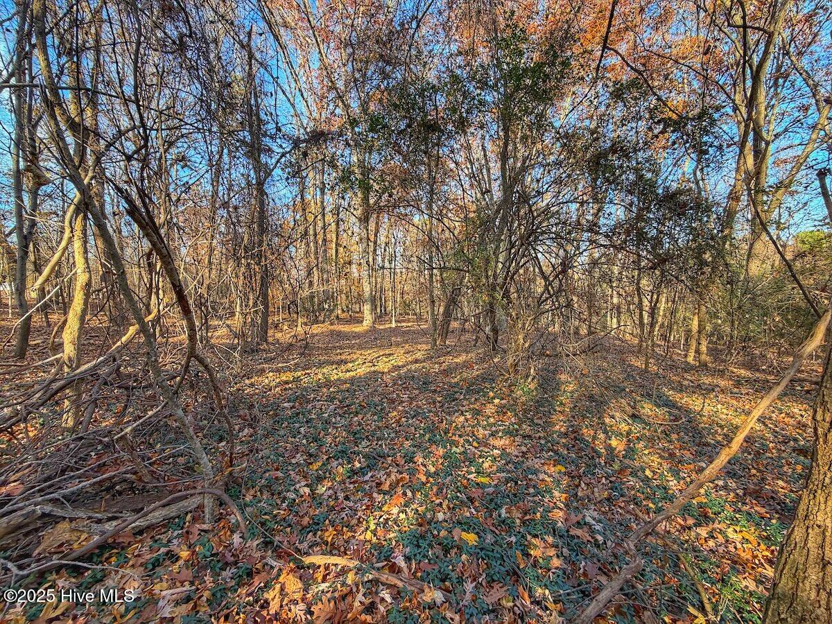 0 Mabry Mill Road, Henderson, NC, 27537