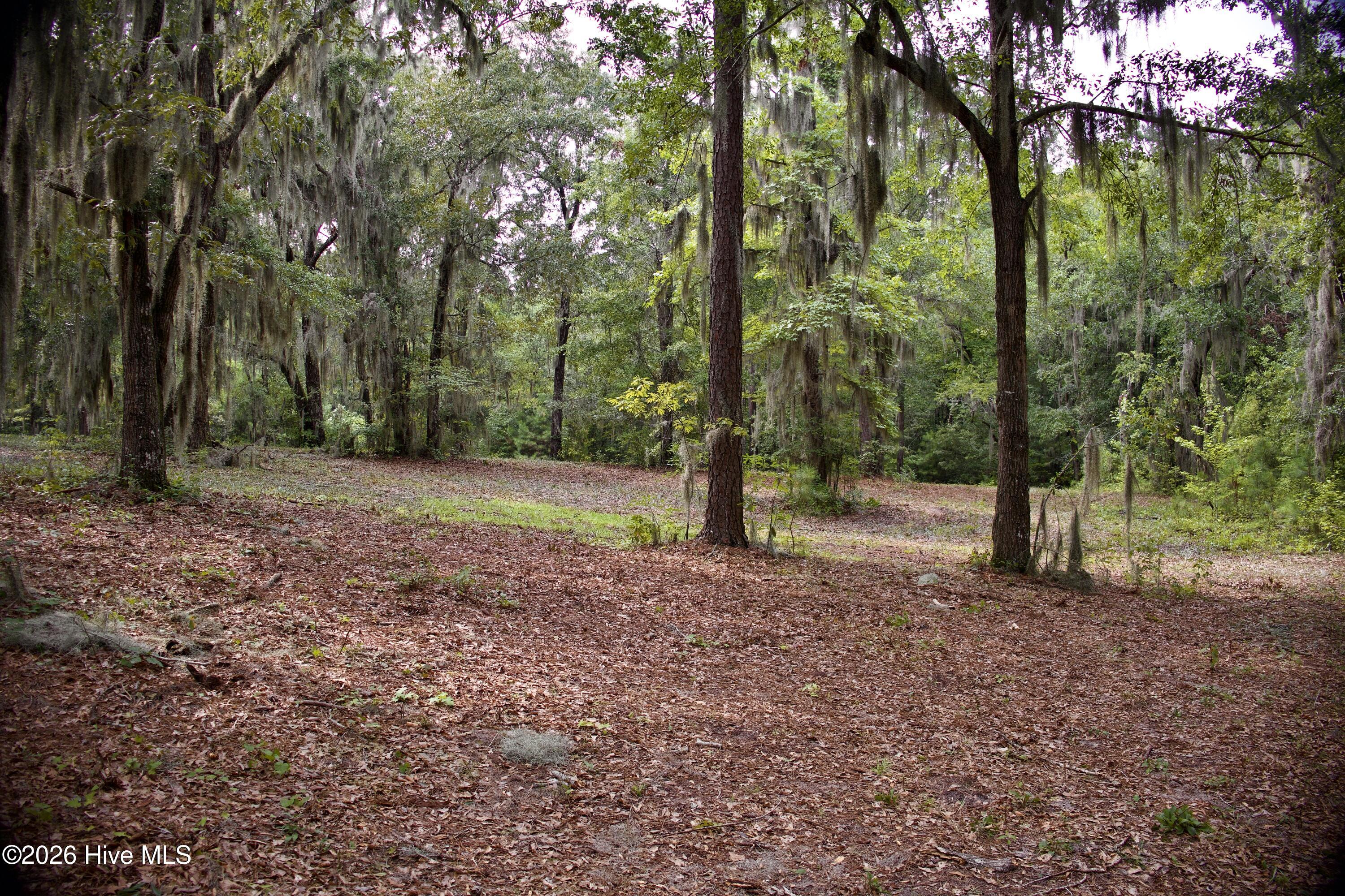 385 Sand Ridge Road,New Bern