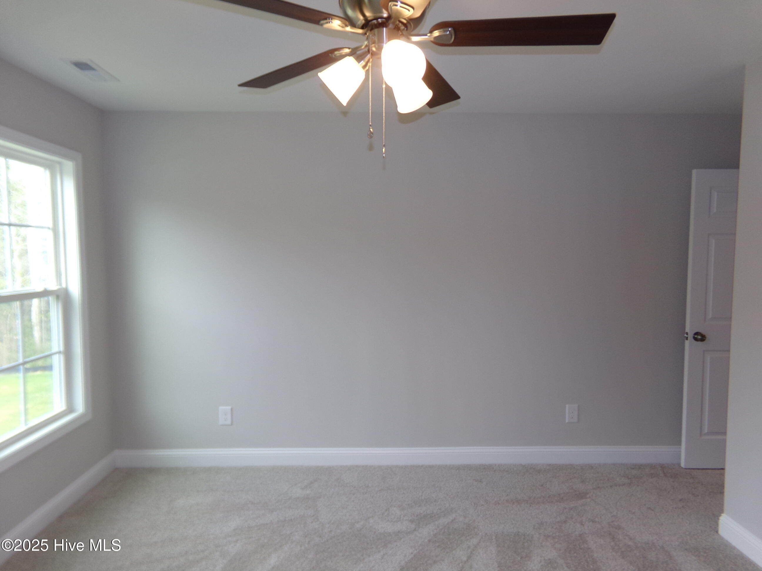 100538831 | Photo 15