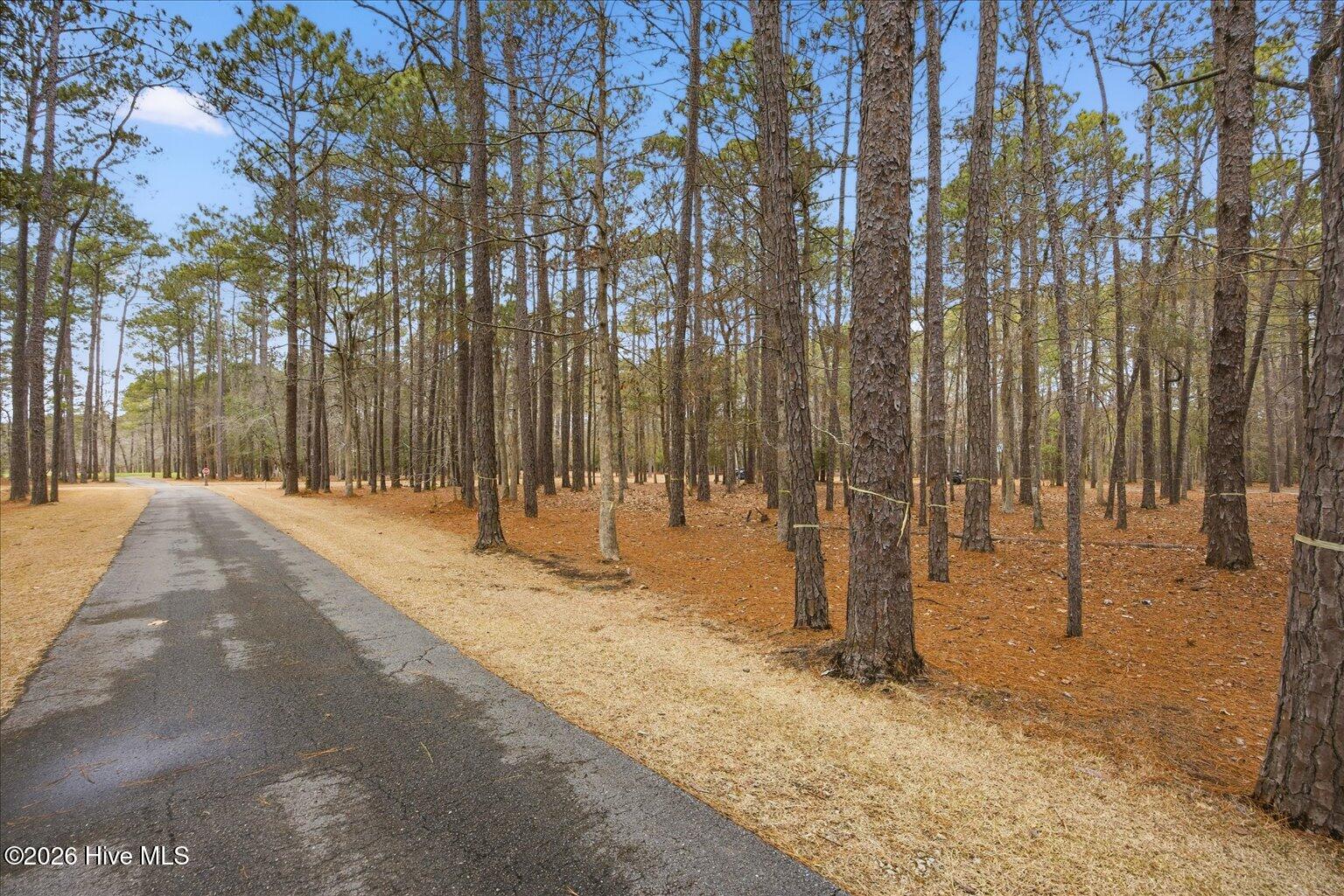 100555112 | Photo 53