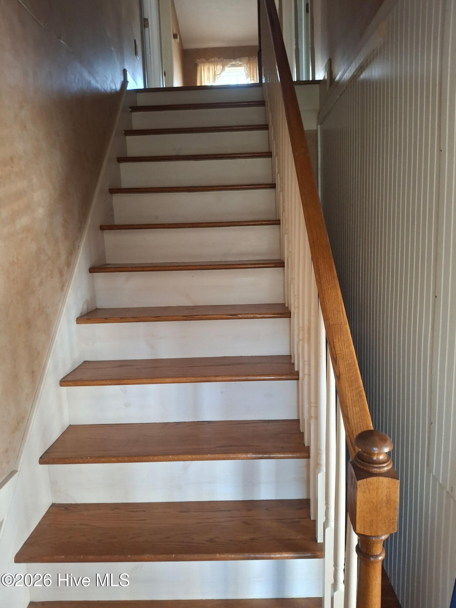 100559129 | Photo 16