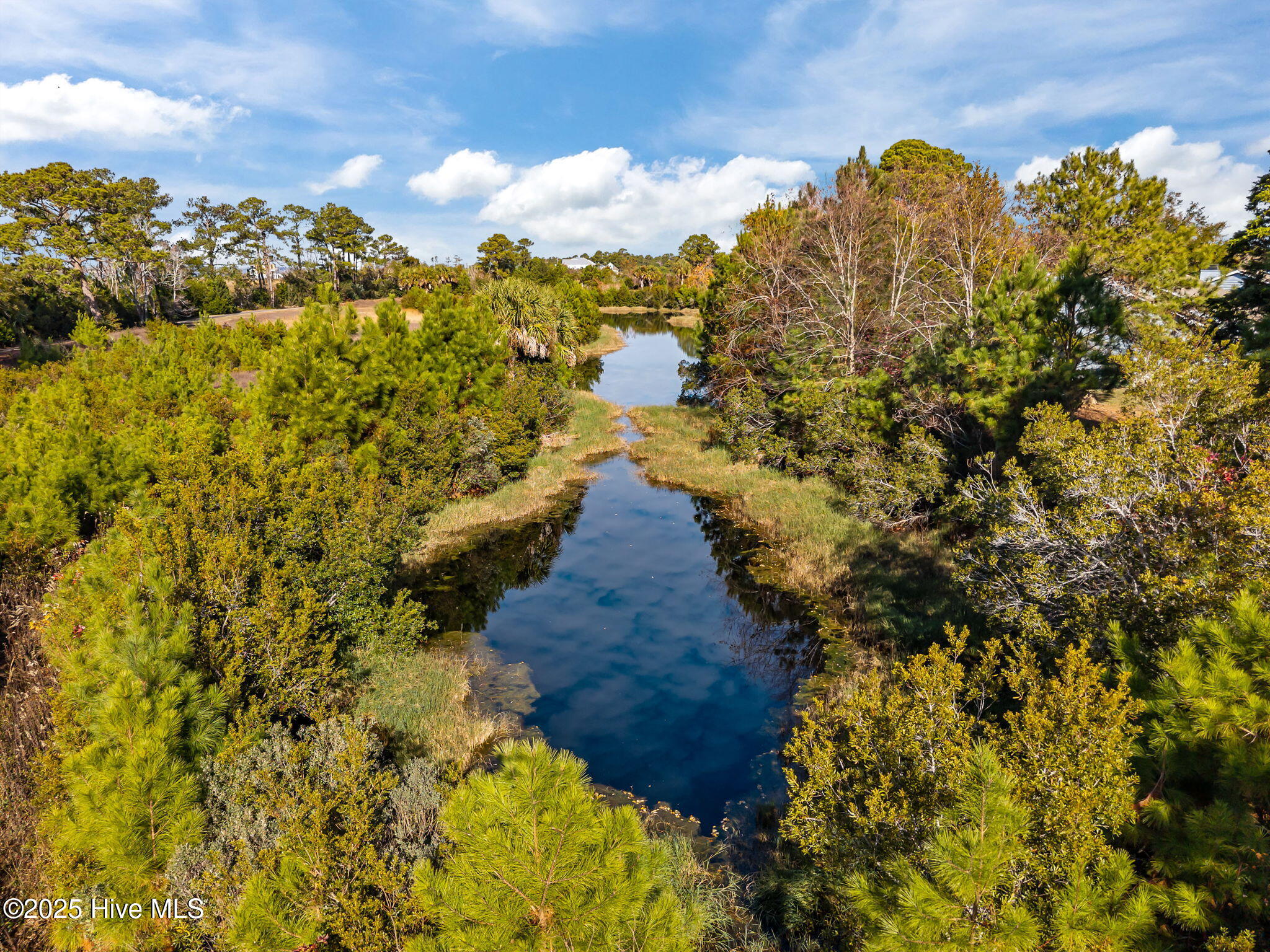 100545533 | Photo 43